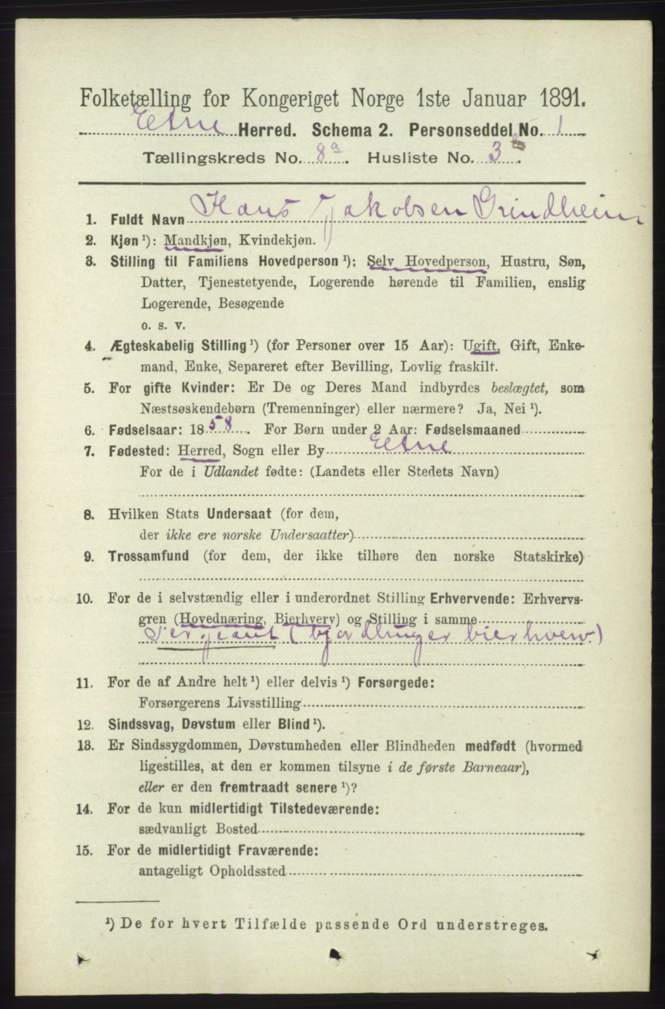 RA, 1891 census for 1211 Etne, 1891, p. 1549