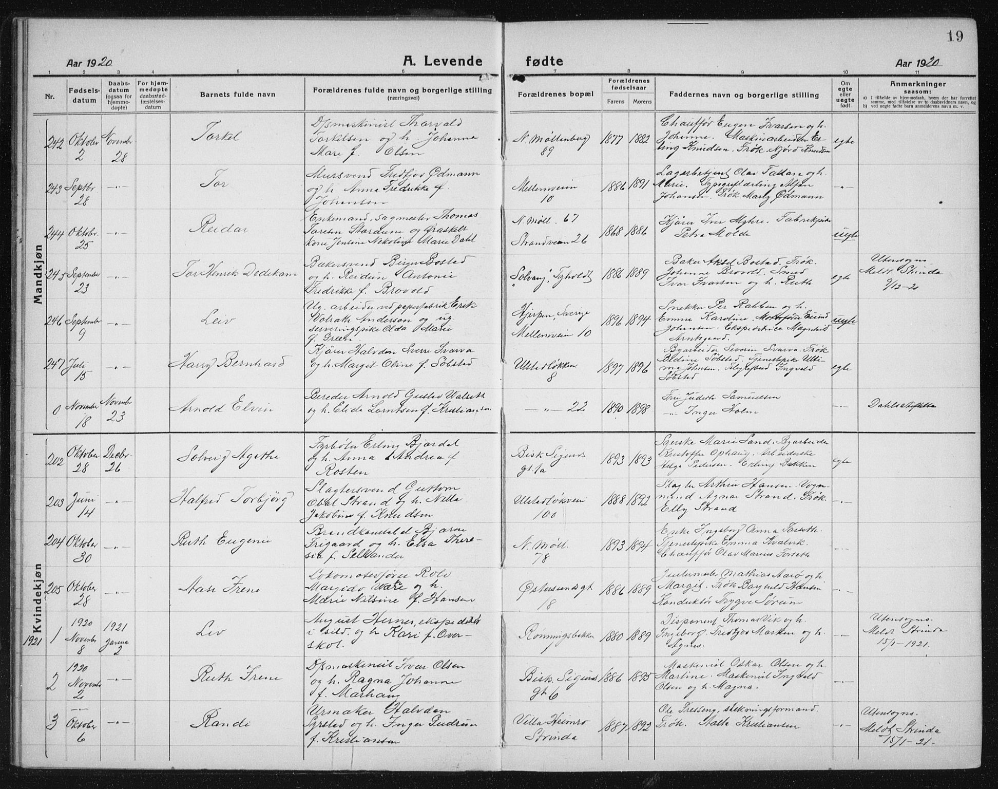 Ministerialprotokoller, klokkerbøker og fødselsregistre - Sør-Trøndelag, AV/SAT-A-1456/605/L0259: Parish register (copy) no. 605C06, 1920-1937, p. 19