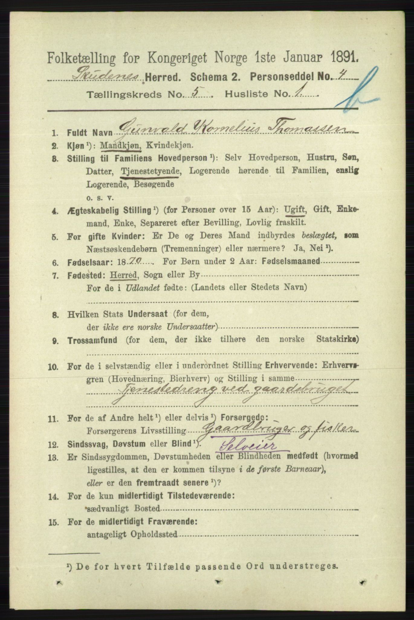 RA, 1891 census for 1150 Skudenes, 1891, p. 5234