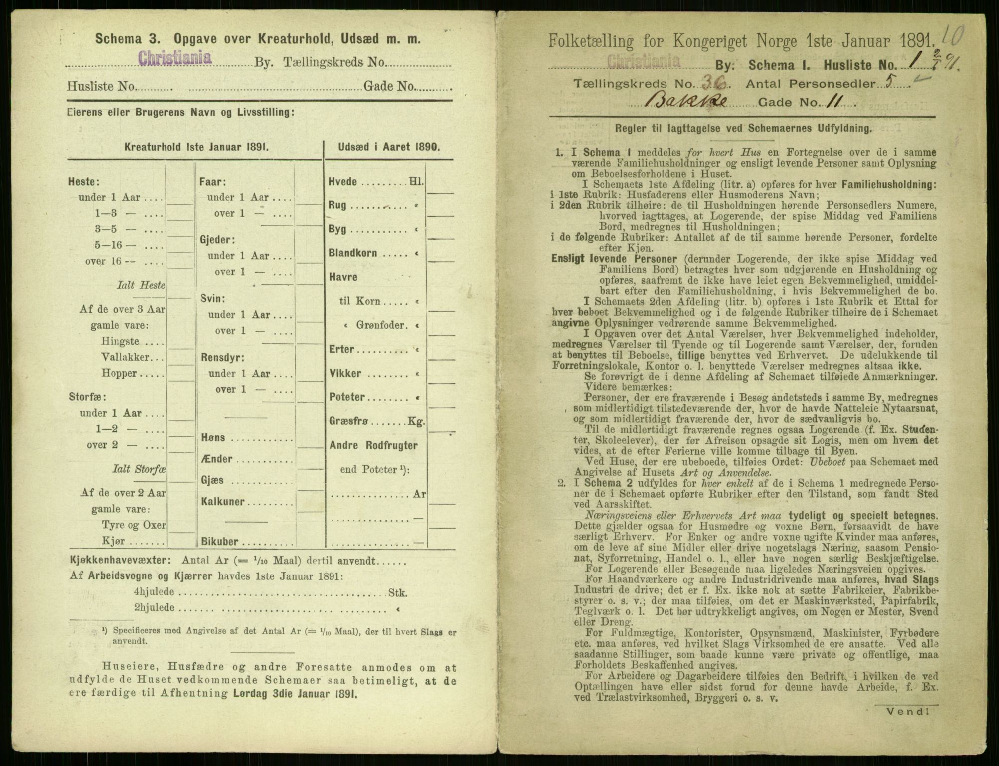 RA, 1891 census for 0301 Kristiania, 1891, p. 19998