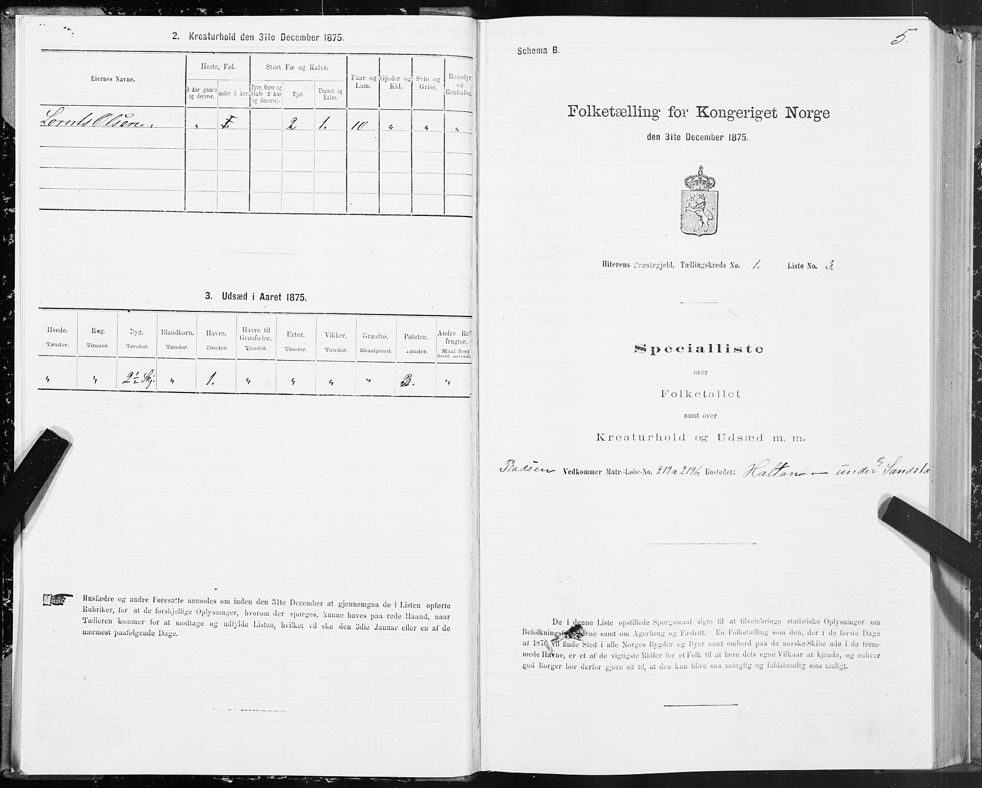 SAT, 1875 census for 1617P Hitra, 1875, p. 1005