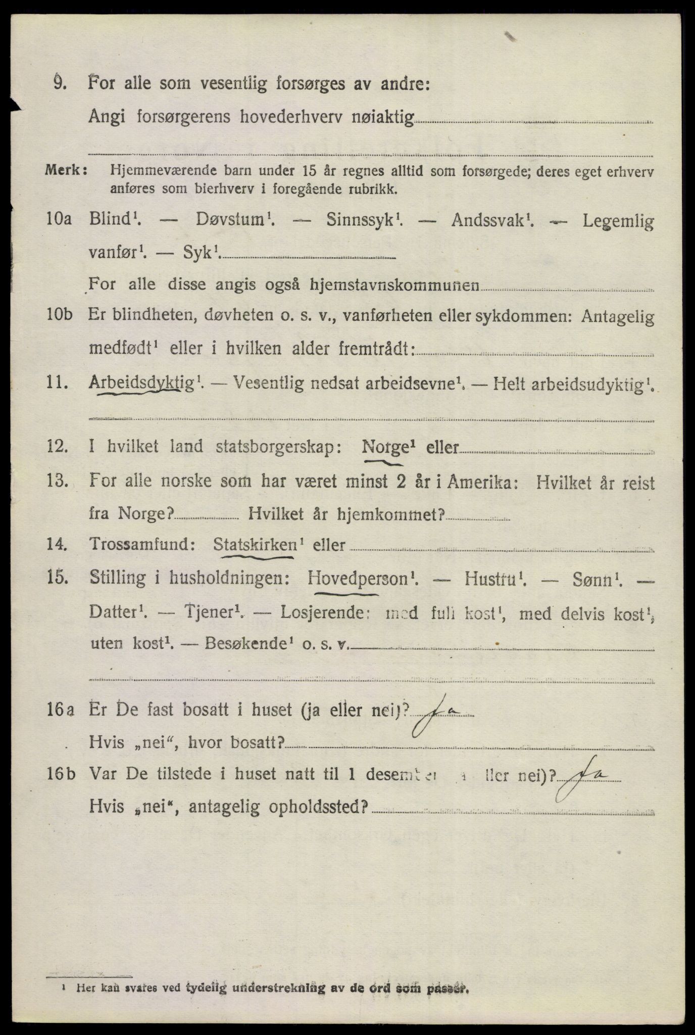 SAKO, 1920 census for Hol (Buskerud), 1920, p. 4920