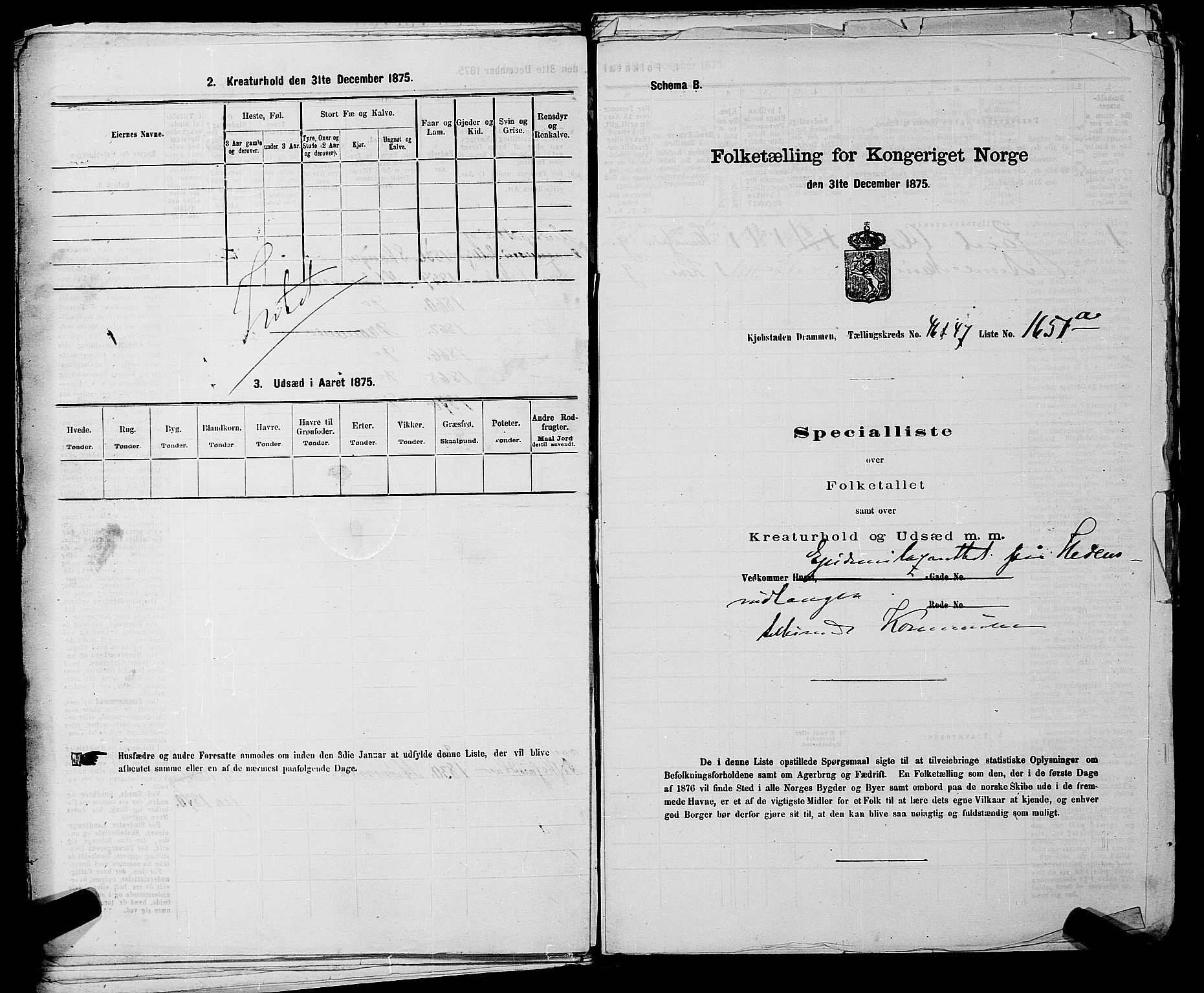 SAKO, 1875 census for 0602 Drammen, 1875, p. 3786