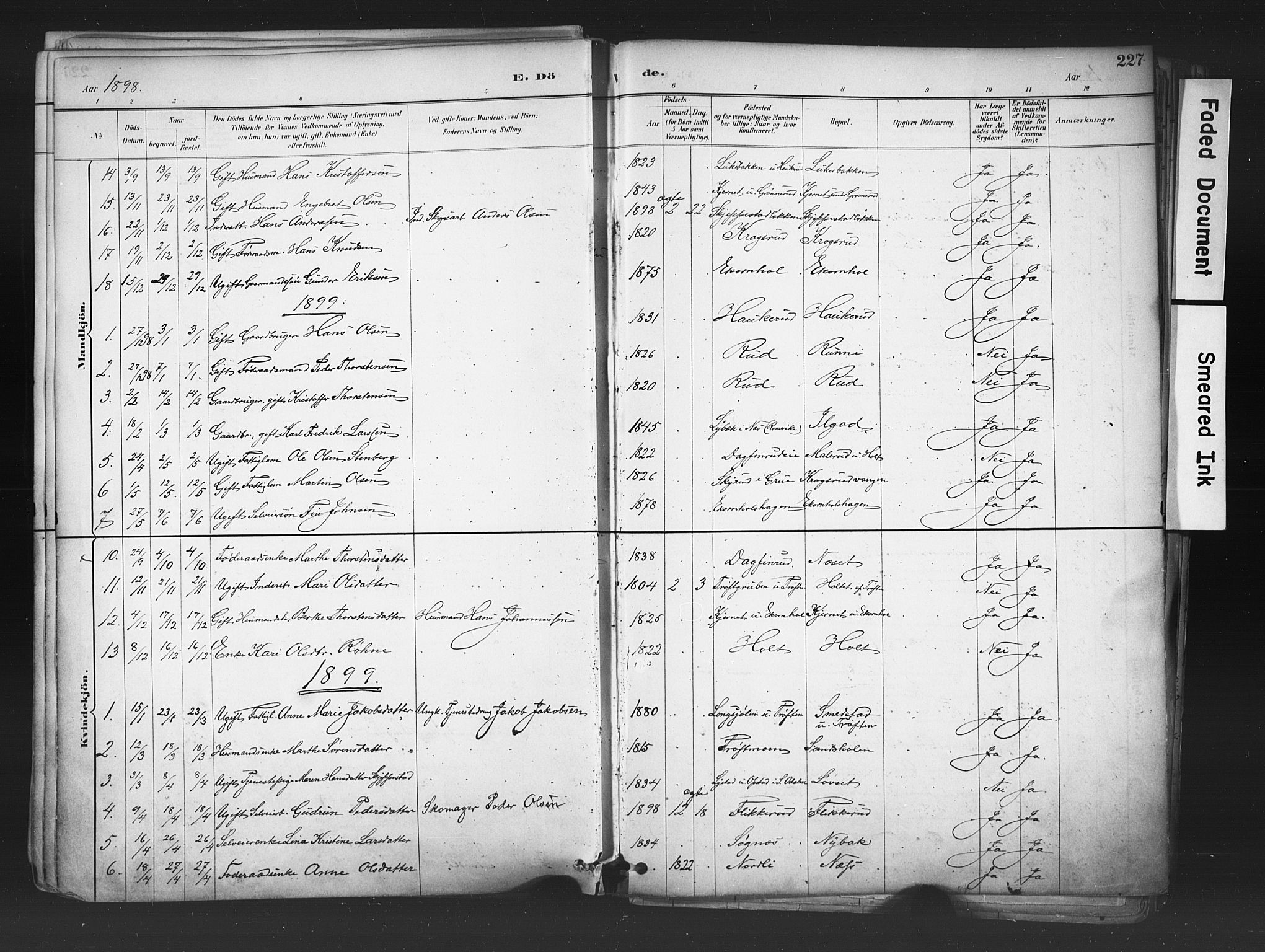 Nord-Odal prestekontor, AV/SAH-PREST-032/H/Ha/Haa/L0006: Parish register (official) no. 6, 1886-1901, p. 227