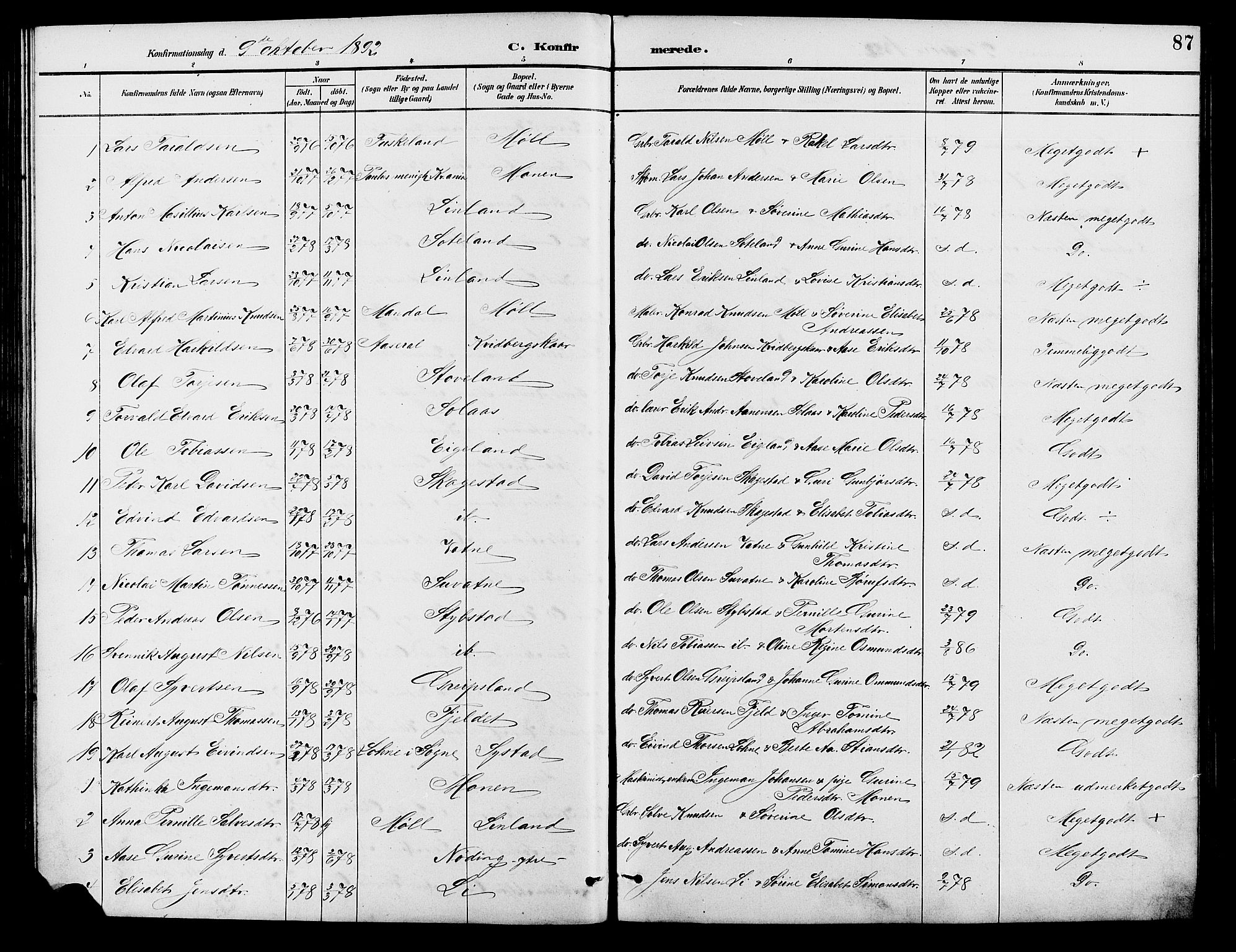 Holum sokneprestkontor, SAK/1111-0022/F/Fb/Fba/L0005: Parish register (copy) no. B 5, 1891-1909, p. 87