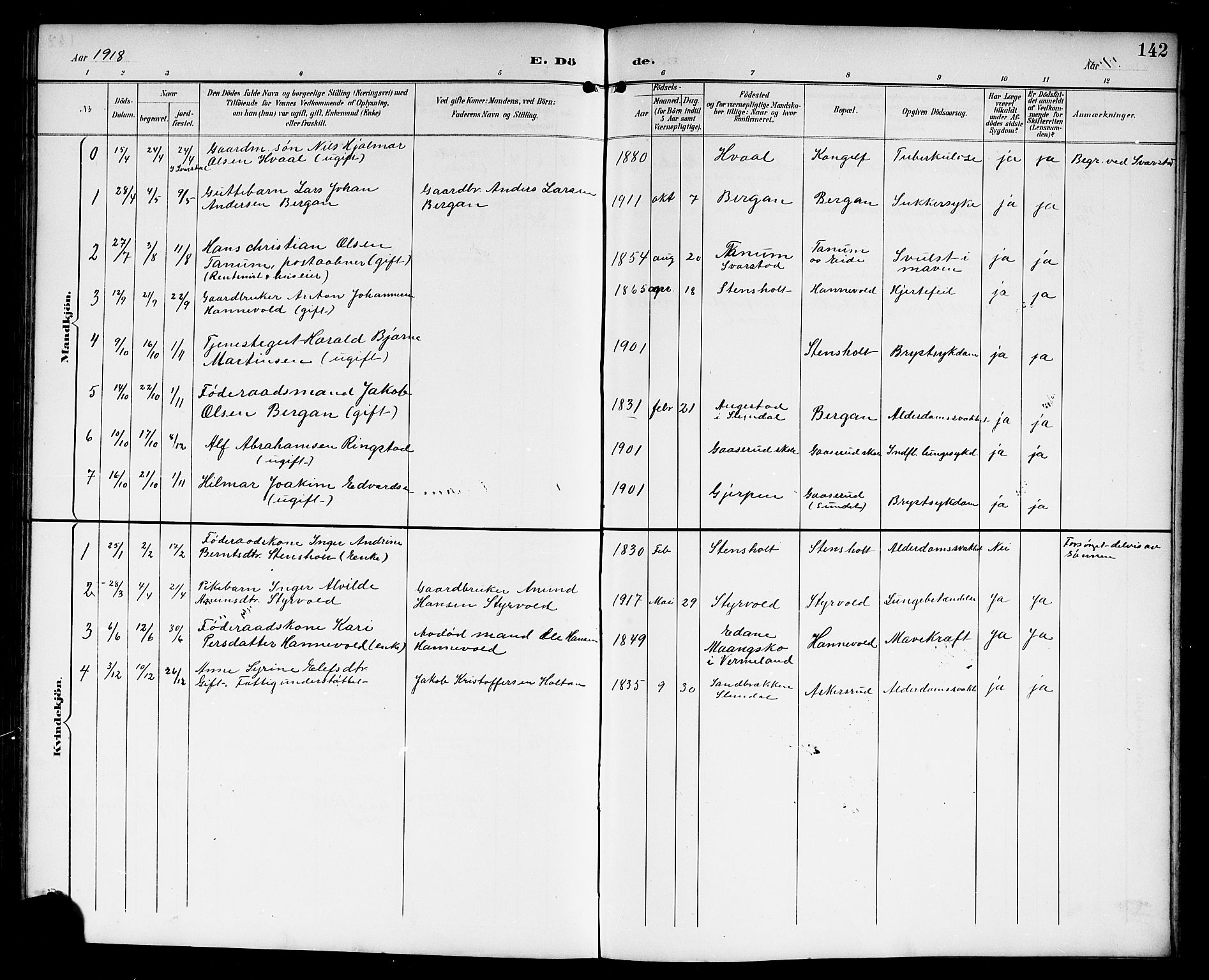 Lardal kirkebøker, AV/SAKO-A-350/G/Gc/L0002: Parish register (copy) no. III 2, 1894-1918, p. 142