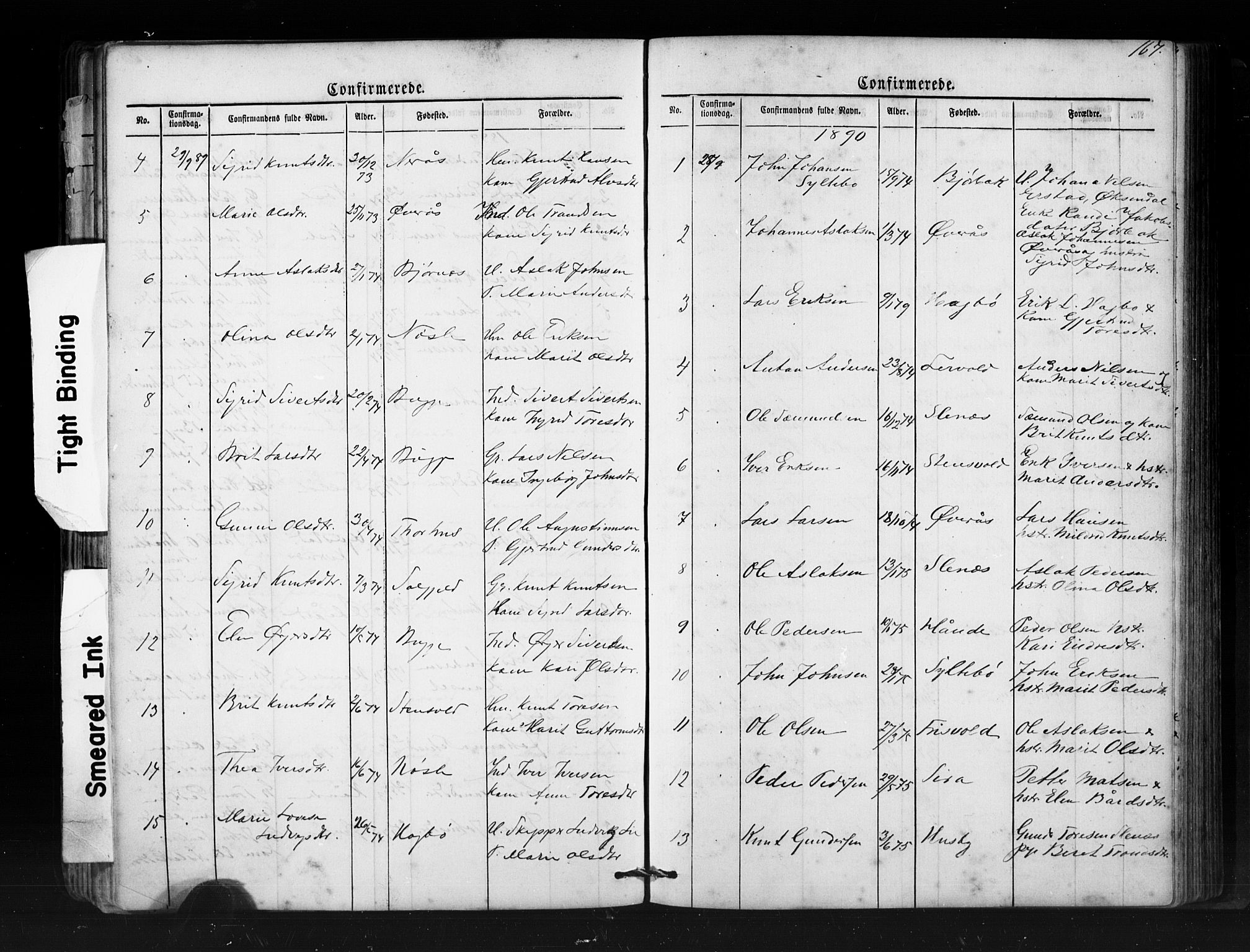 Ministerialprotokoller, klokkerbøker og fødselsregistre - Møre og Romsdal, AV/SAT-A-1454/552/L0638: Parish register (copy) no. 552C01, 1867-1902, p. 167