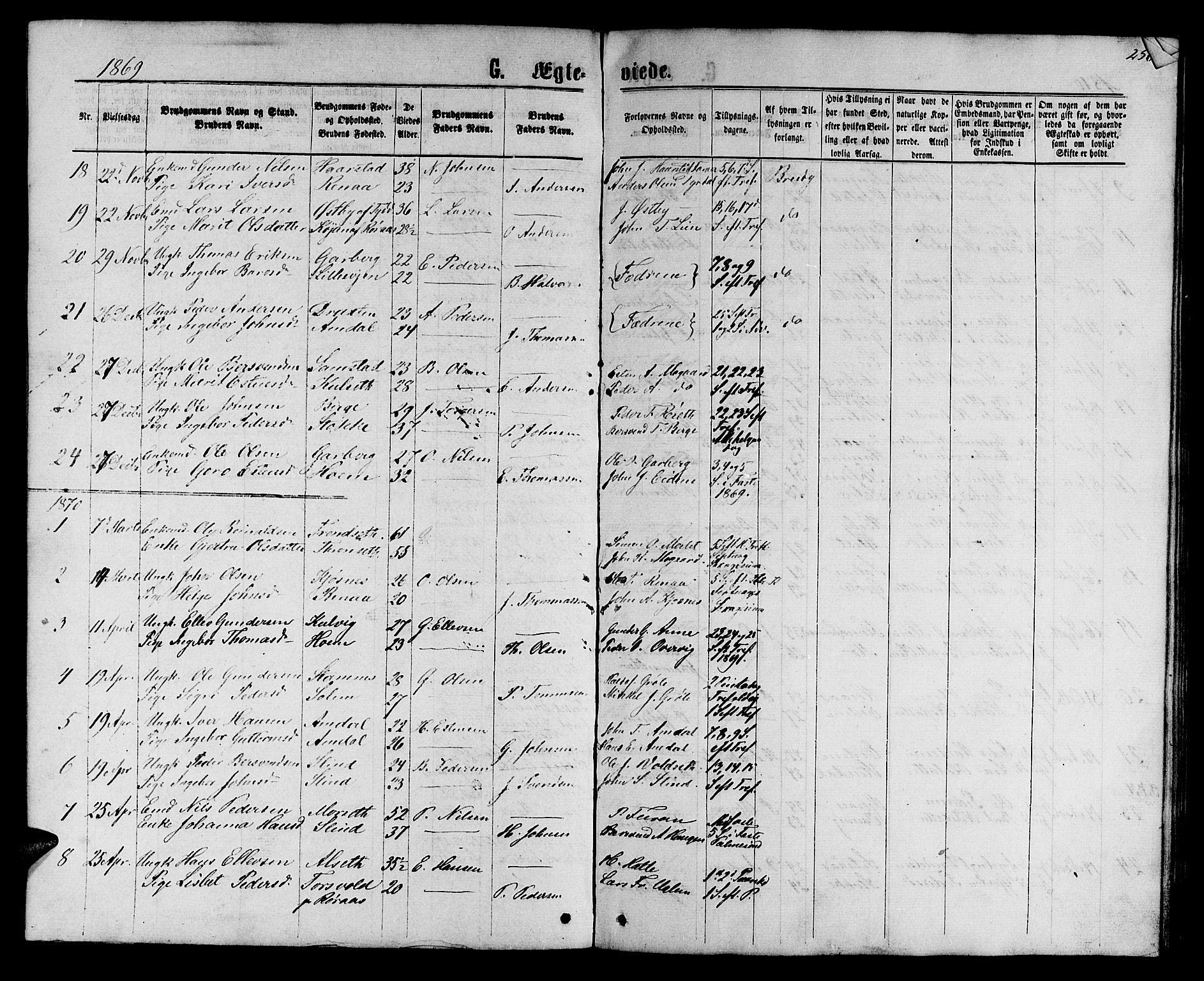 Ministerialprotokoller, klokkerbøker og fødselsregistre - Sør-Trøndelag, SAT/A-1456/695/L1156: Parish register (copy) no. 695C07, 1869-1888, p. 250