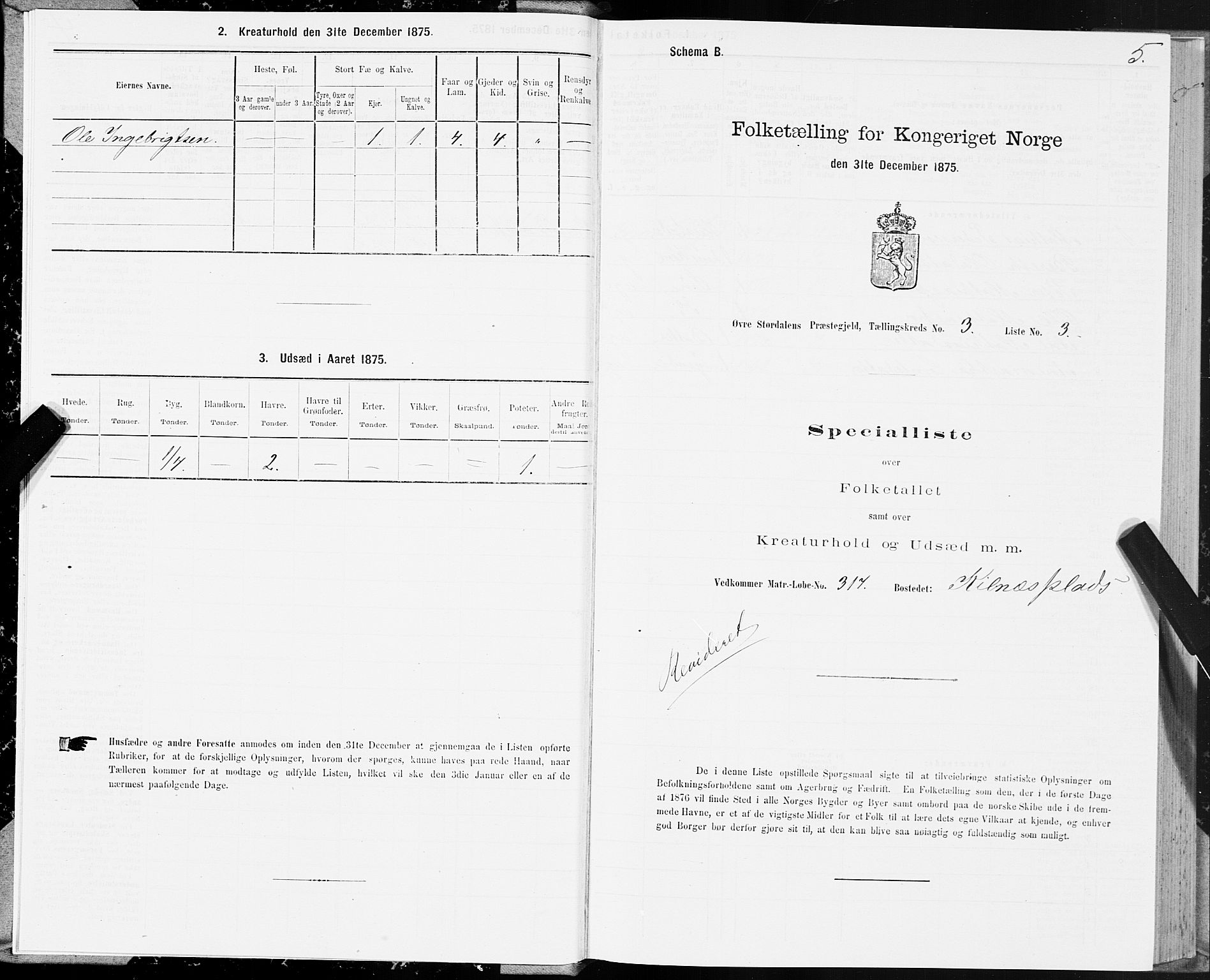 SAT, 1875 census for 1711P Øvre Stjørdal, 1875, p. 2005