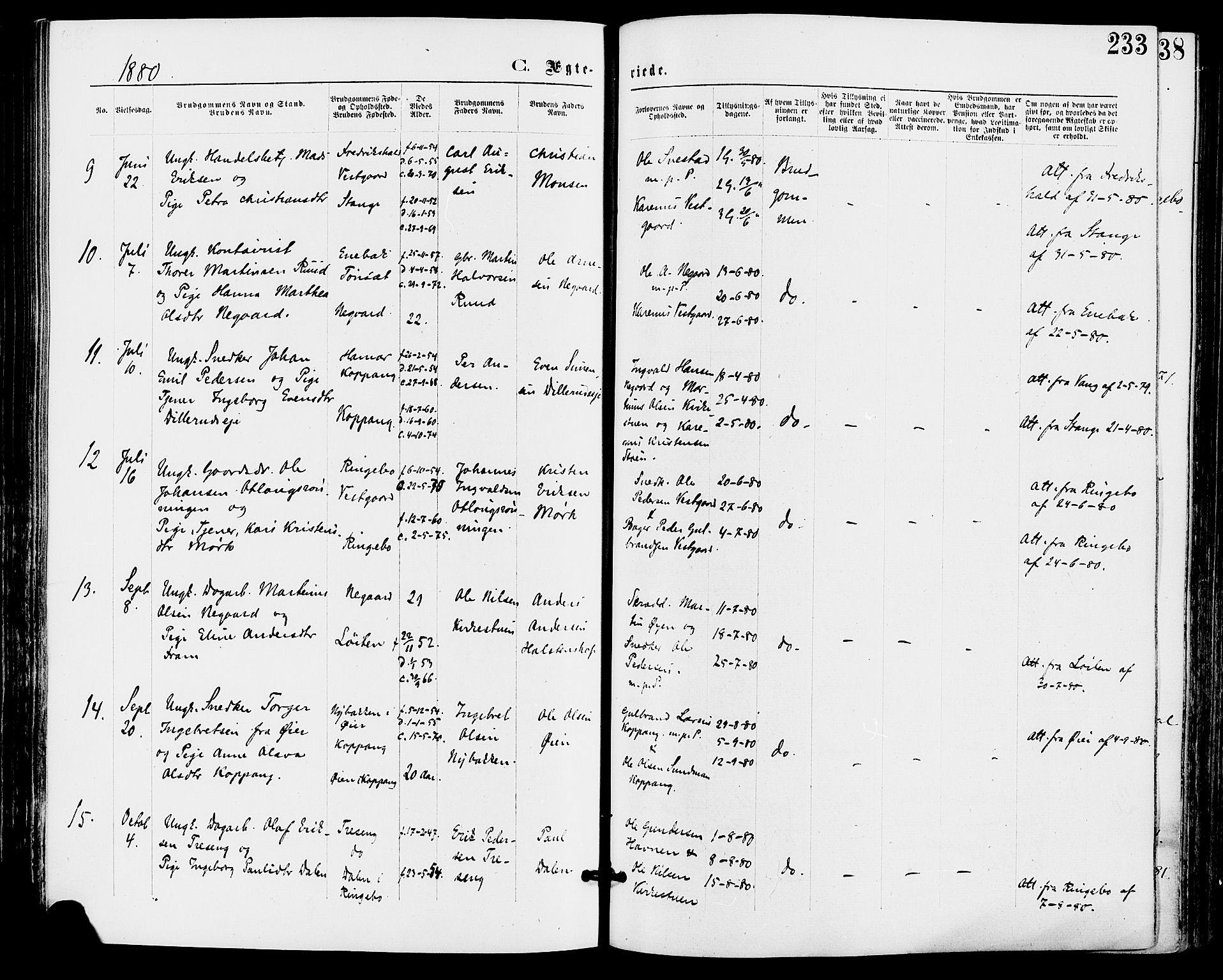 Stor-Elvdal prestekontor, AV/SAH-PREST-052/H/Ha/Haa/L0001: Parish register (official) no. 1, 1871-1882, p. 233