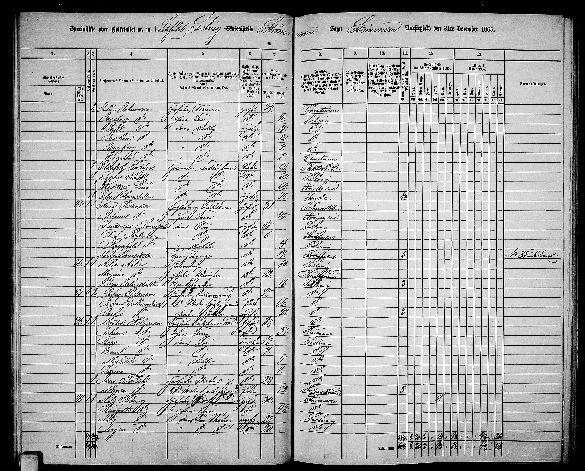 RA, 1865 census for Strømm, 1865, p. 81