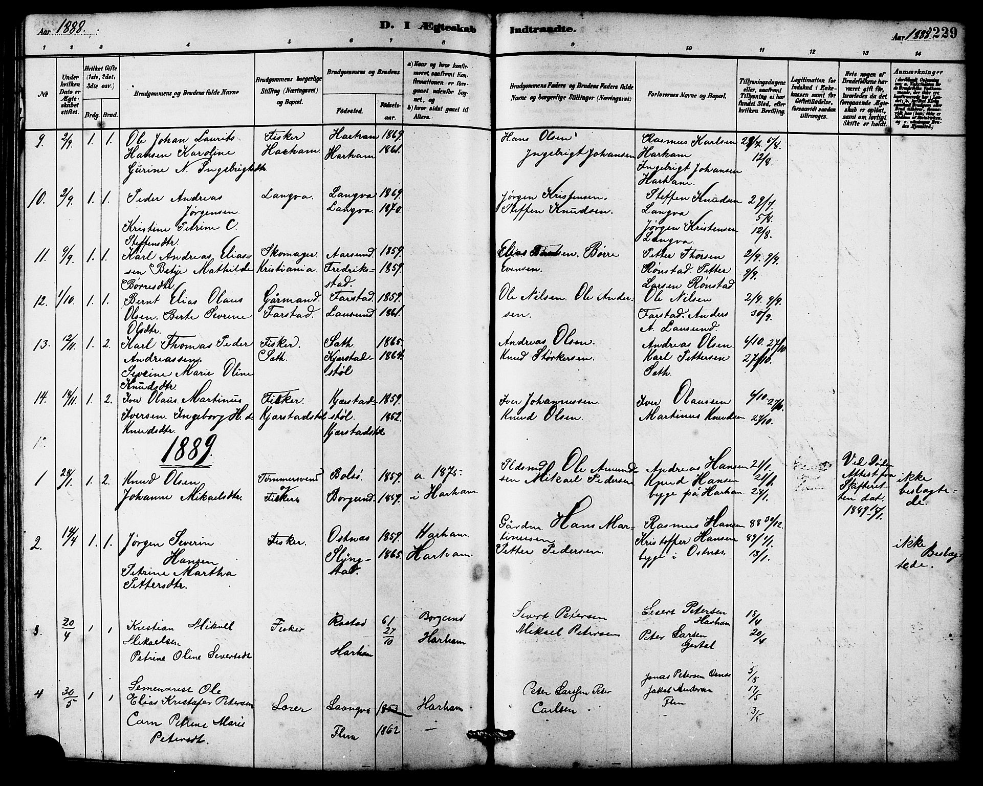 Ministerialprotokoller, klokkerbøker og fødselsregistre - Møre og Romsdal, AV/SAT-A-1454/536/L0510: Parish register (copy) no. 536C05, 1881-1898, p. 229