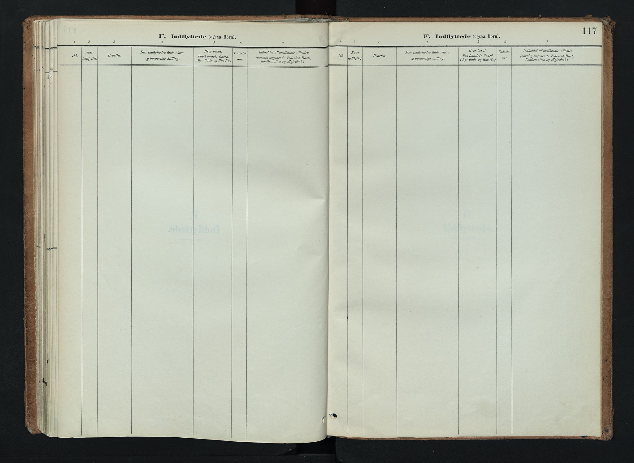 Nord-Aurdal prestekontor, SAH/PREST-132/H/Ha/Haa/L0016: Parish register (official) no. 16, 1897-1925, p. 117