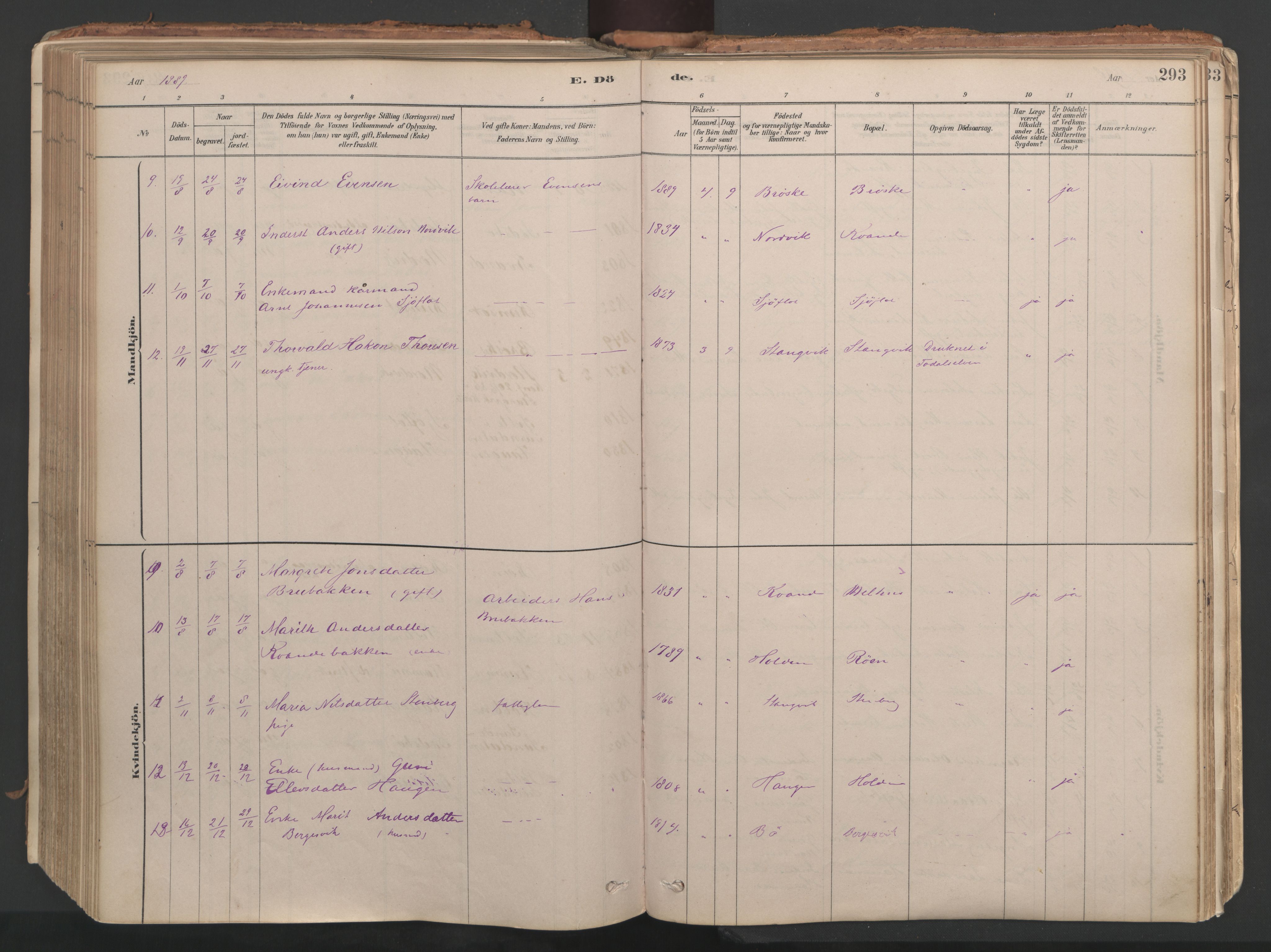 Ministerialprotokoller, klokkerbøker og fødselsregistre - Møre og Romsdal, AV/SAT-A-1454/592/L1029: Parish register (official) no. 592A07, 1879-1902, p. 293