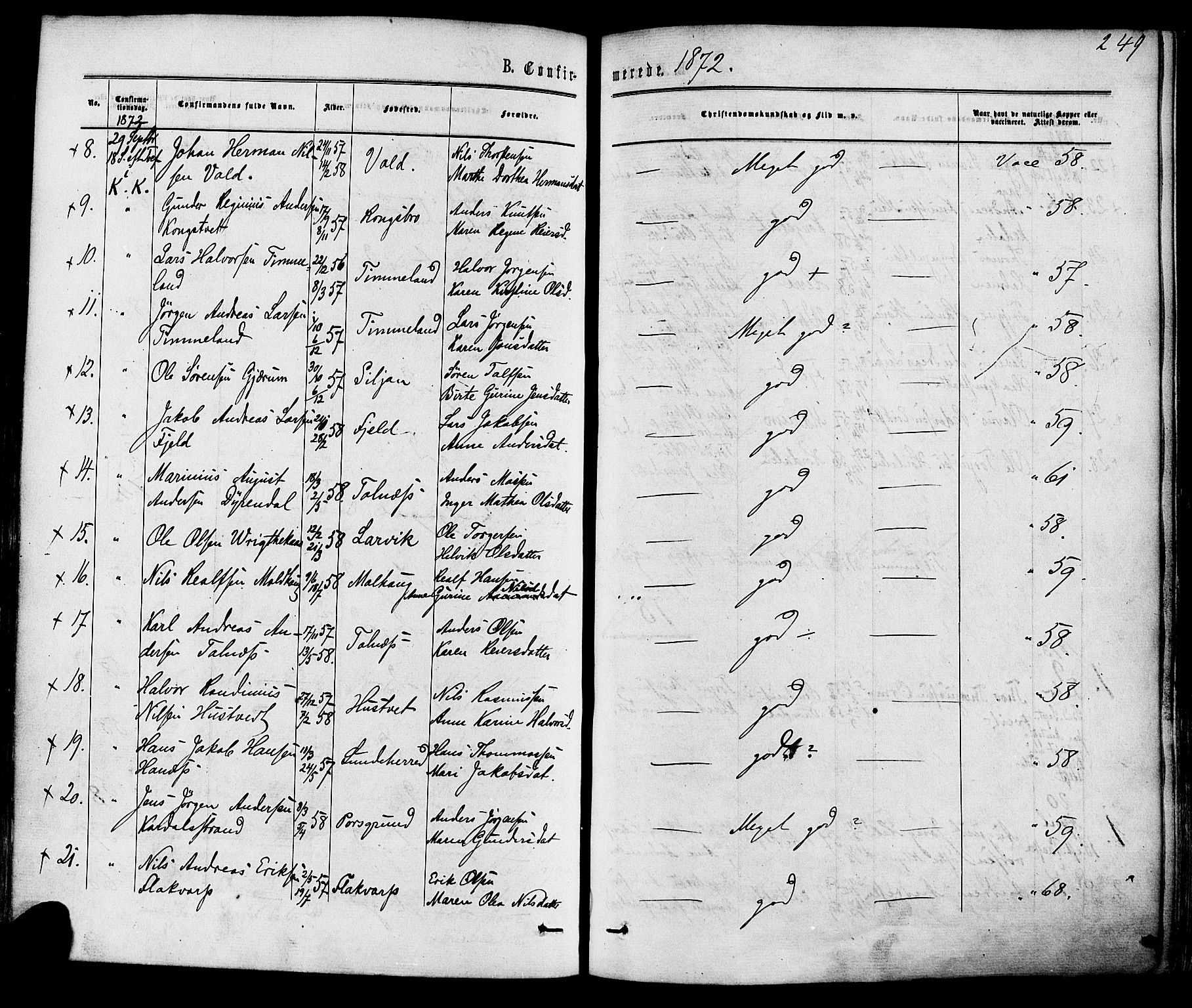 Solum kirkebøker, SAKO/A-306/F/Fa/L0008: Parish register (official) no. I 8, 1865-1876, p. 249
