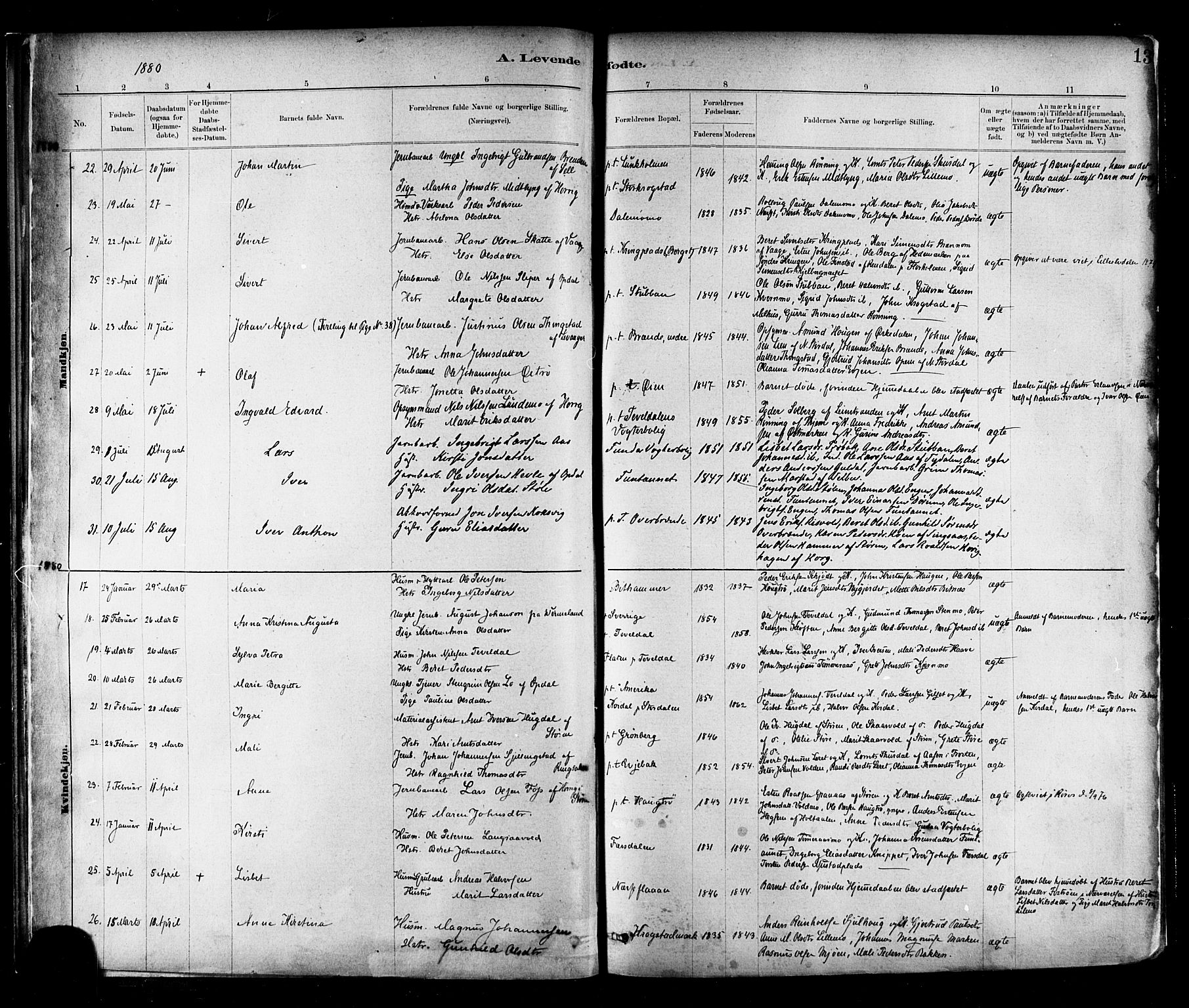 Ministerialprotokoller, klokkerbøker og fødselsregistre - Nord-Trøndelag, SAT/A-1458/706/L0047: Parish register (official) no. 706A03, 1878-1892, p. 13