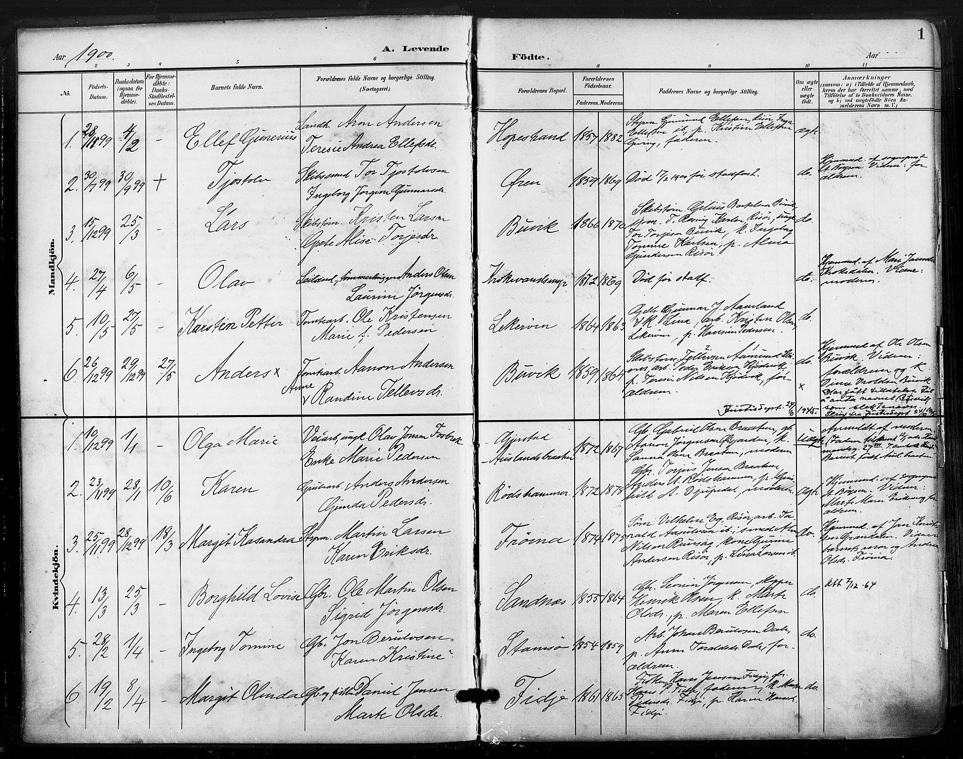 Søndeled sokneprestkontor, AV/SAK-1111-0038/F/Fa/L0006: Parish register (official) no. A 6, 1900-1922, p. 1