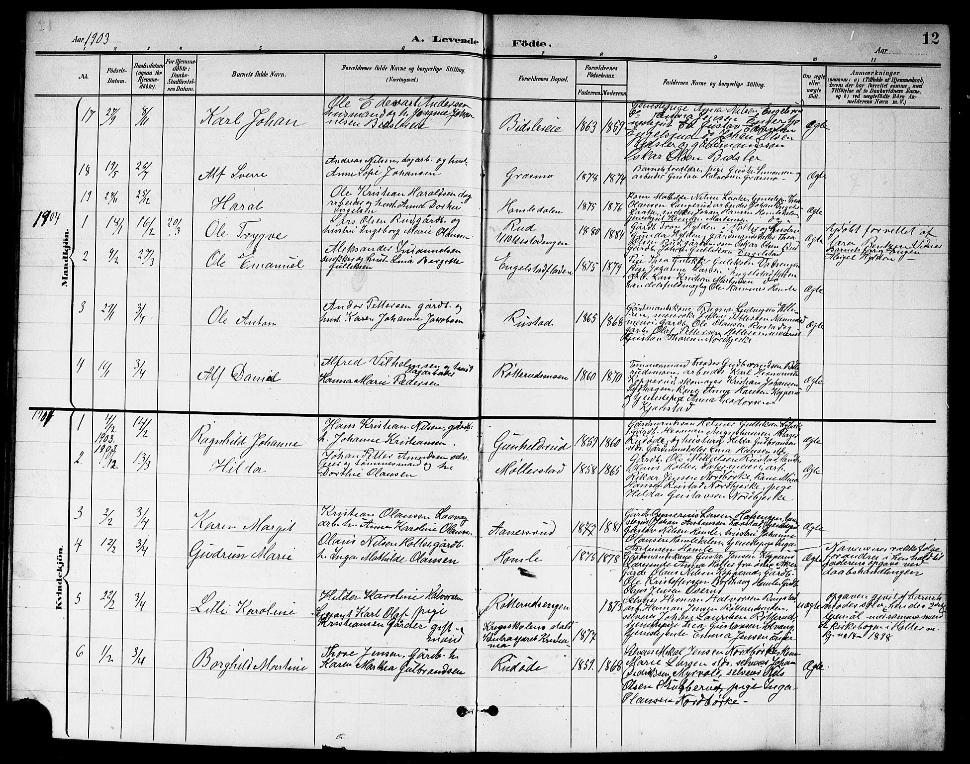 Nannestad prestekontor Kirkebøker, SAO/A-10414a/G/Ga/L0002: Parish register (copy) no. I 2, 1901-1913, p. 12