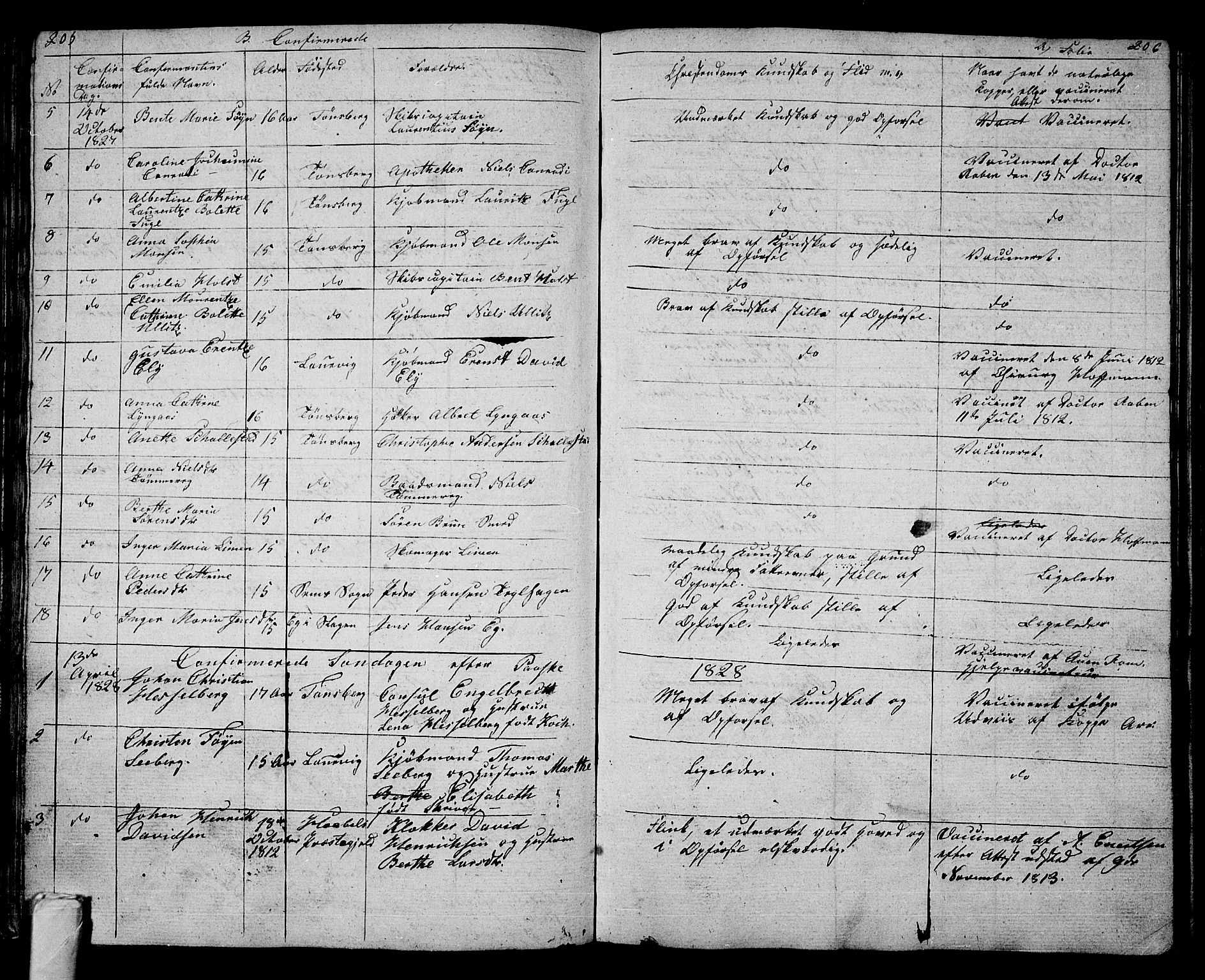 Tønsberg kirkebøker, AV/SAKO-A-330/G/Ga/L0002: Parish register (copy) no. 2, 1827-1854, p. 205-206