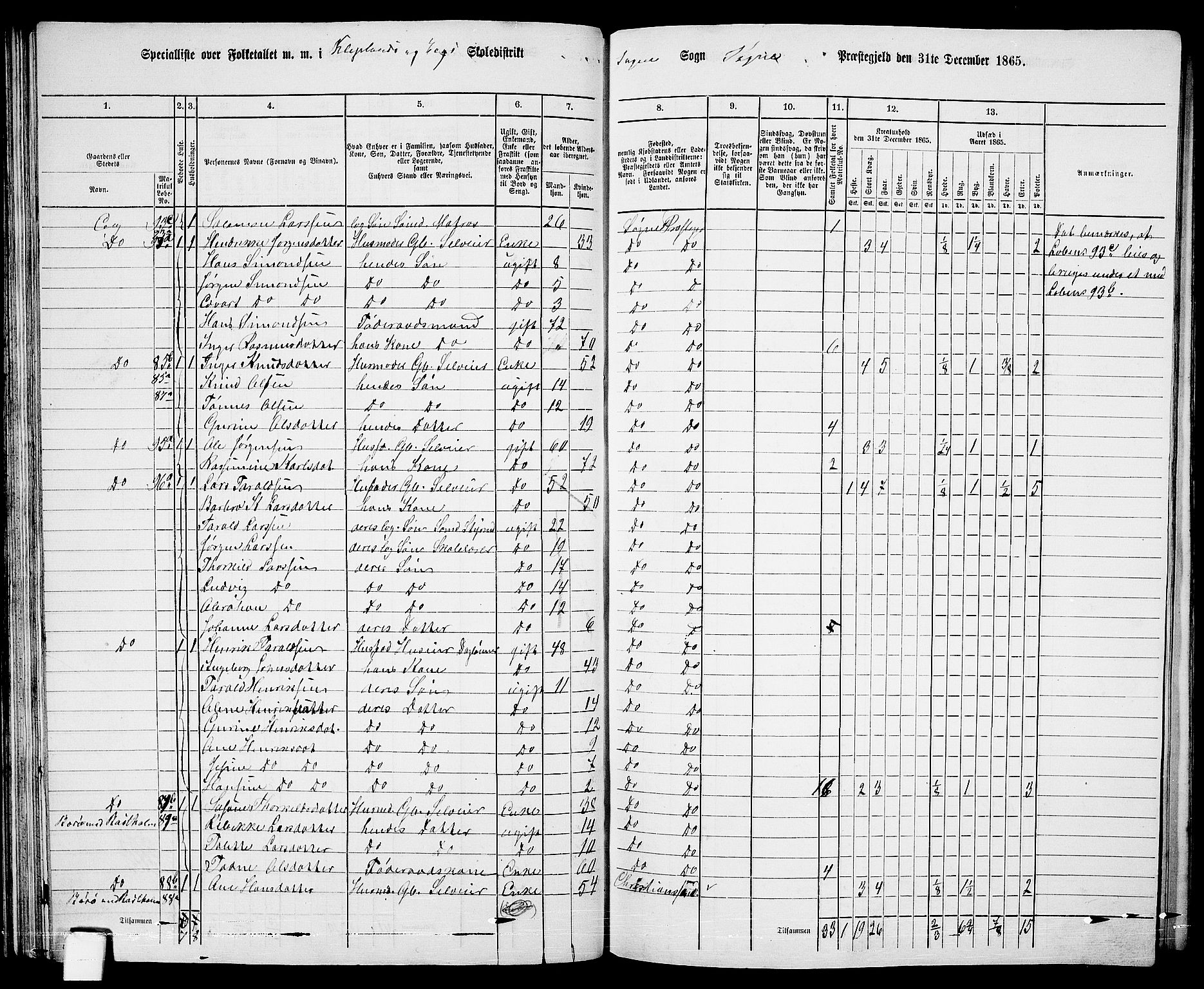 RA, 1865 census for Søgne, 1865, p. 63