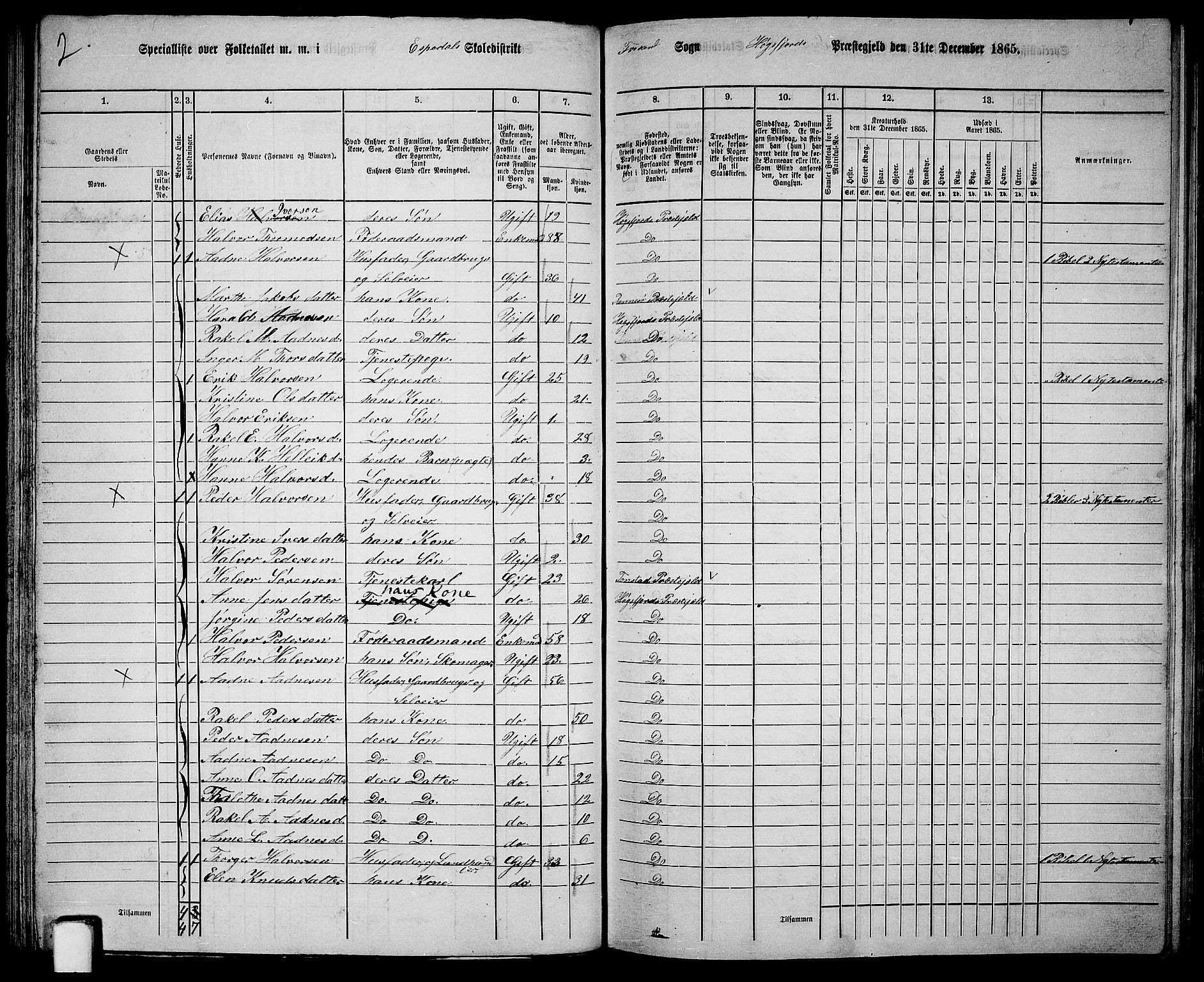 RA, 1865 census for Høgsfjord, 1865, p. 49