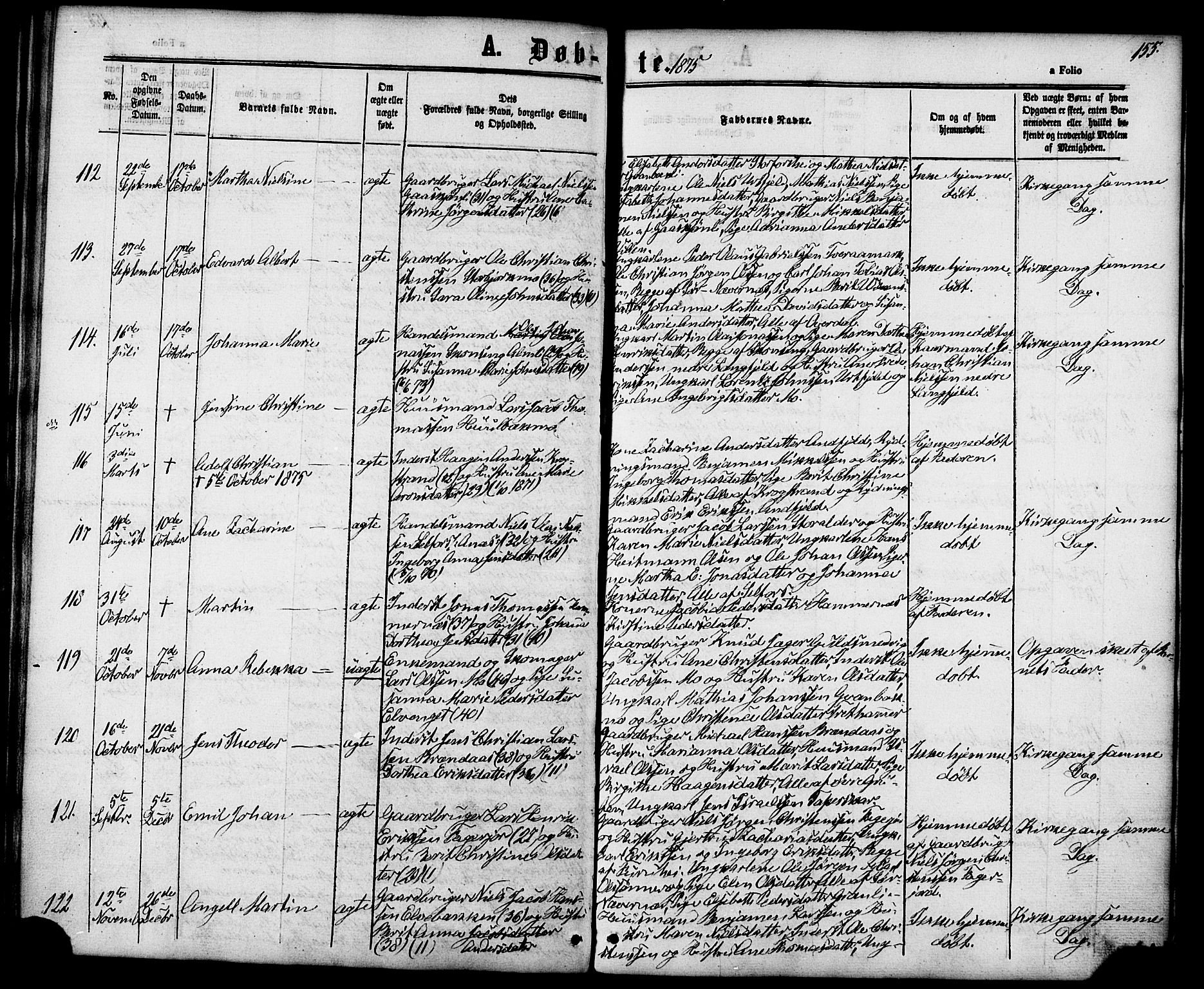 Ministerialprotokoller, klokkerbøker og fødselsregistre - Nordland, AV/SAT-A-1459/827/L0393: Parish register (official) no. 827A05, 1863-1883, p. 155