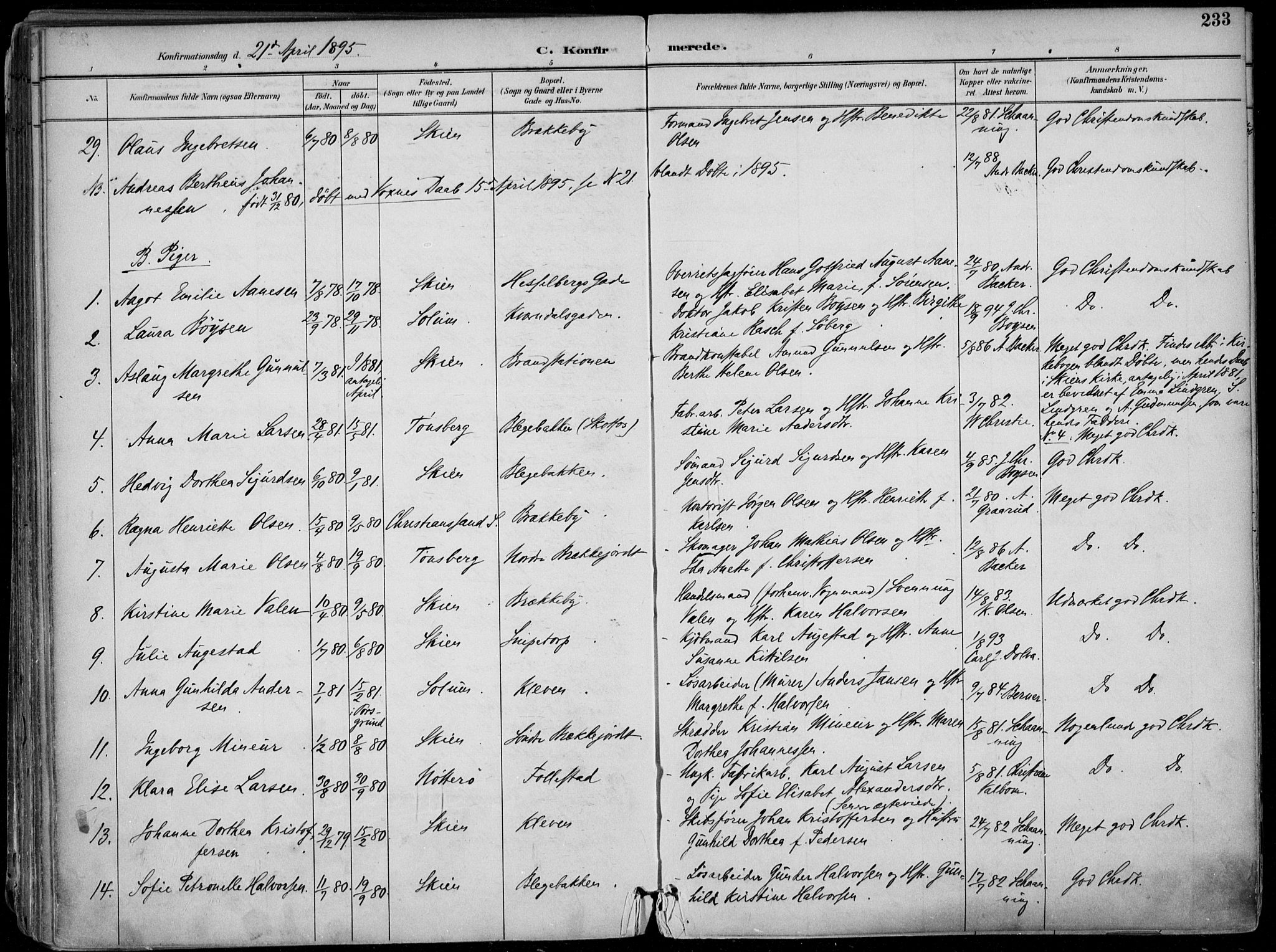 Skien kirkebøker, AV/SAKO-A-302/F/Fa/L0010: Parish register (official) no. 10, 1891-1899, p. 233