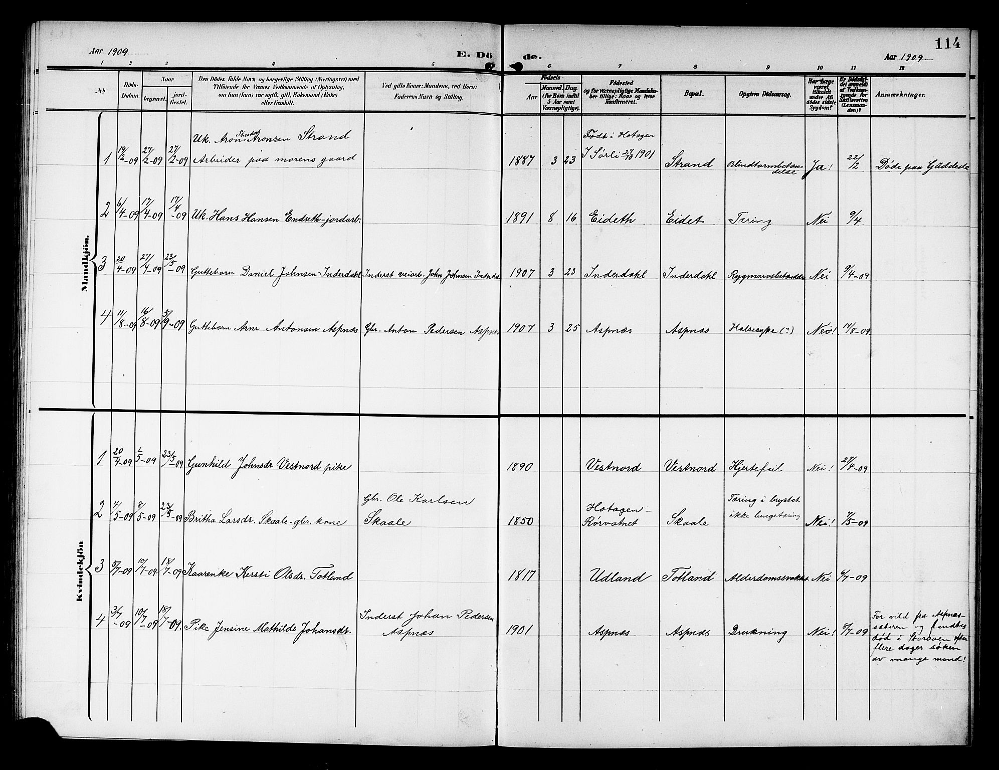 Ministerialprotokoller, klokkerbøker og fødselsregistre - Nord-Trøndelag, SAT/A-1458/757/L0506: Parish register (copy) no. 757C01, 1904-1922, p. 114