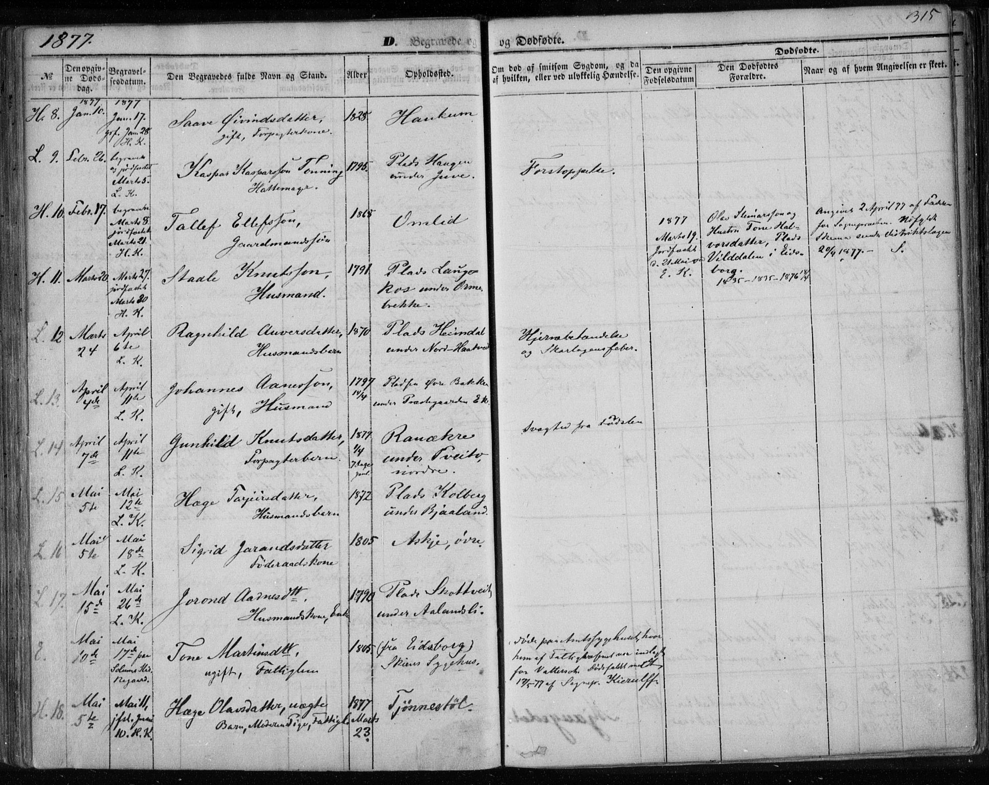 Lårdal kirkebøker, SAKO/A-284/F/Fa/L0006: Parish register (official) no. I 6, 1861-1886, p. 315