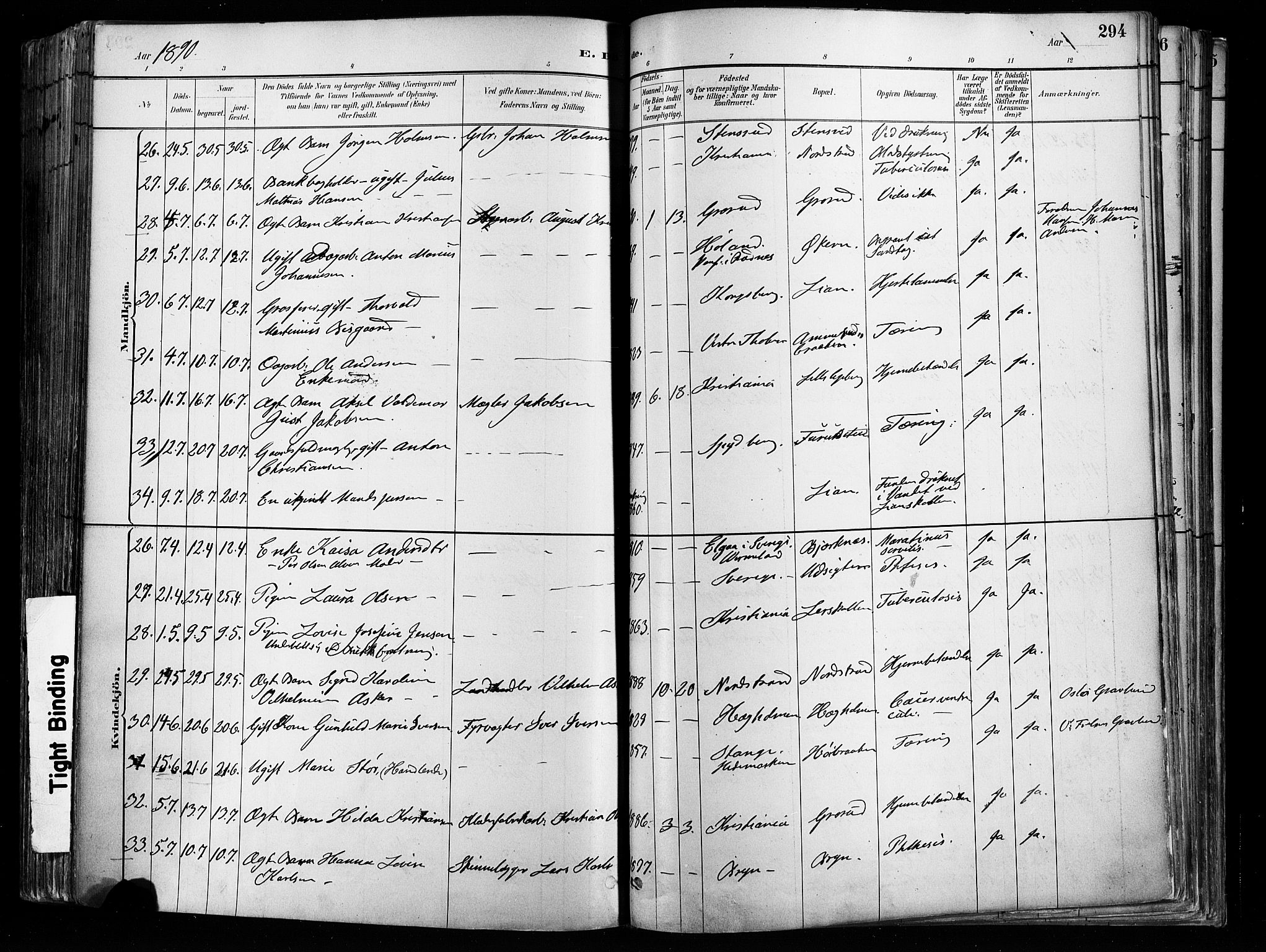 Østre Aker prestekontor Kirkebøker, AV/SAO-A-10840/F/Fa/L0008: Parish register (official) no. I 8, 1883-1894, p. 294