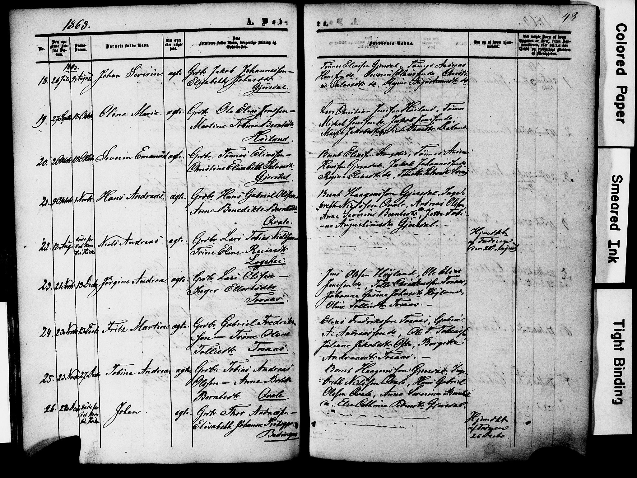 Herad sokneprestkontor, AV/SAK-1111-0018/F/Fa/Faa/L0005: Parish register (official) no. A 5, 1853-1886, p. 43