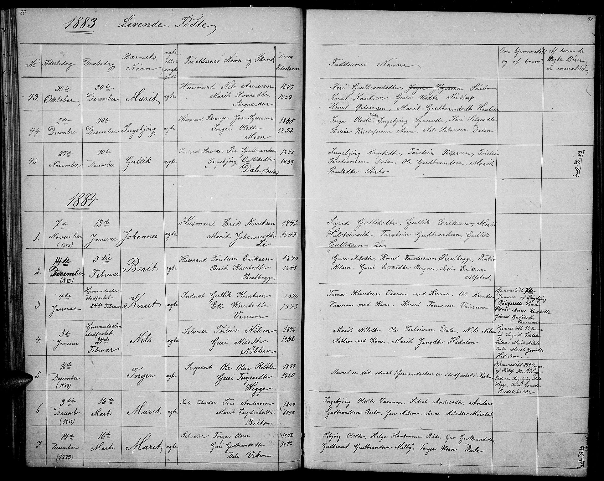 Øystre Slidre prestekontor, SAH/PREST-138/H/Ha/Hab/L0001: Parish register (copy) no. 1, 1866-1886, p. 80-81