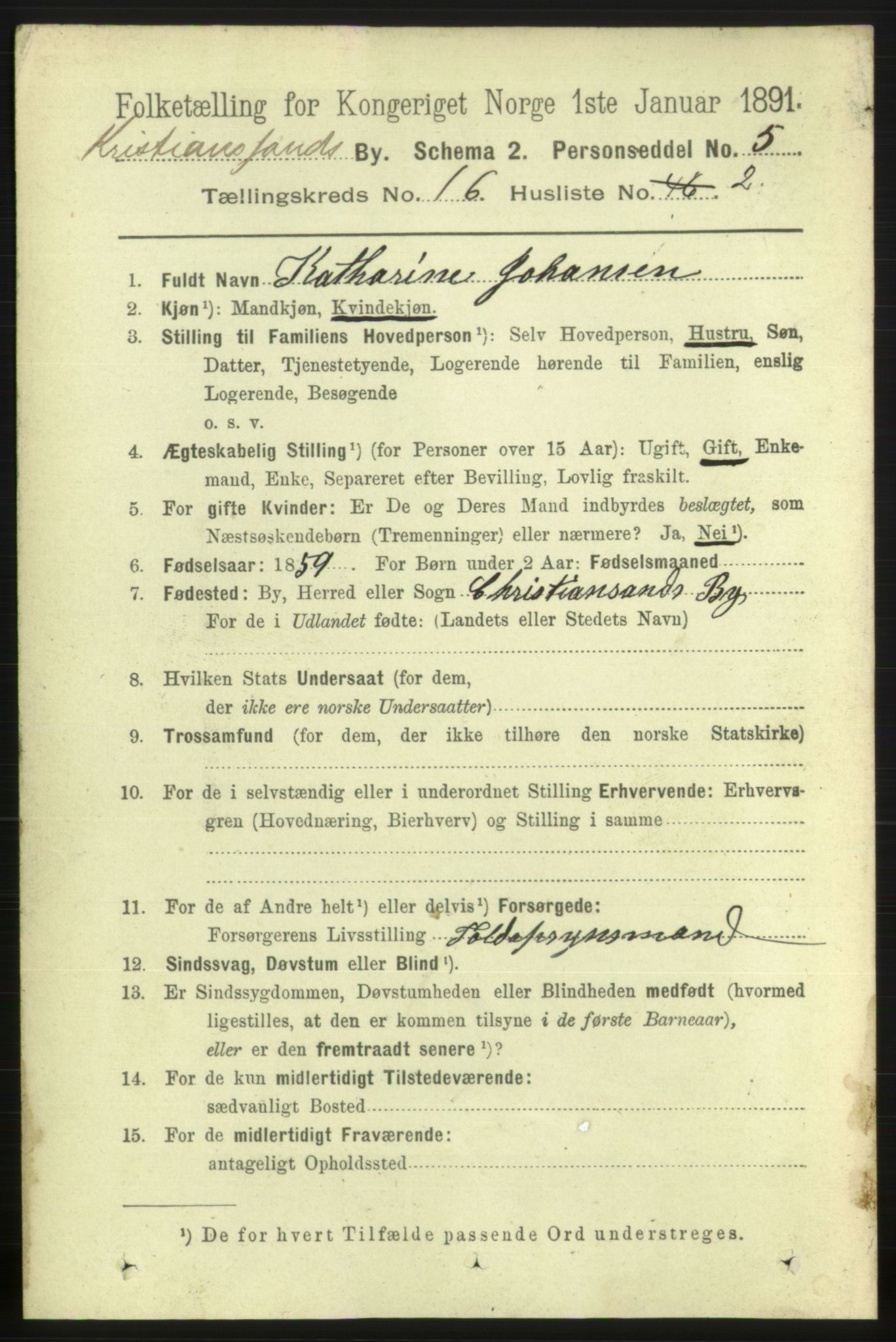 RA, 1891 census for 1001 Kristiansand, 1891, p. 6415