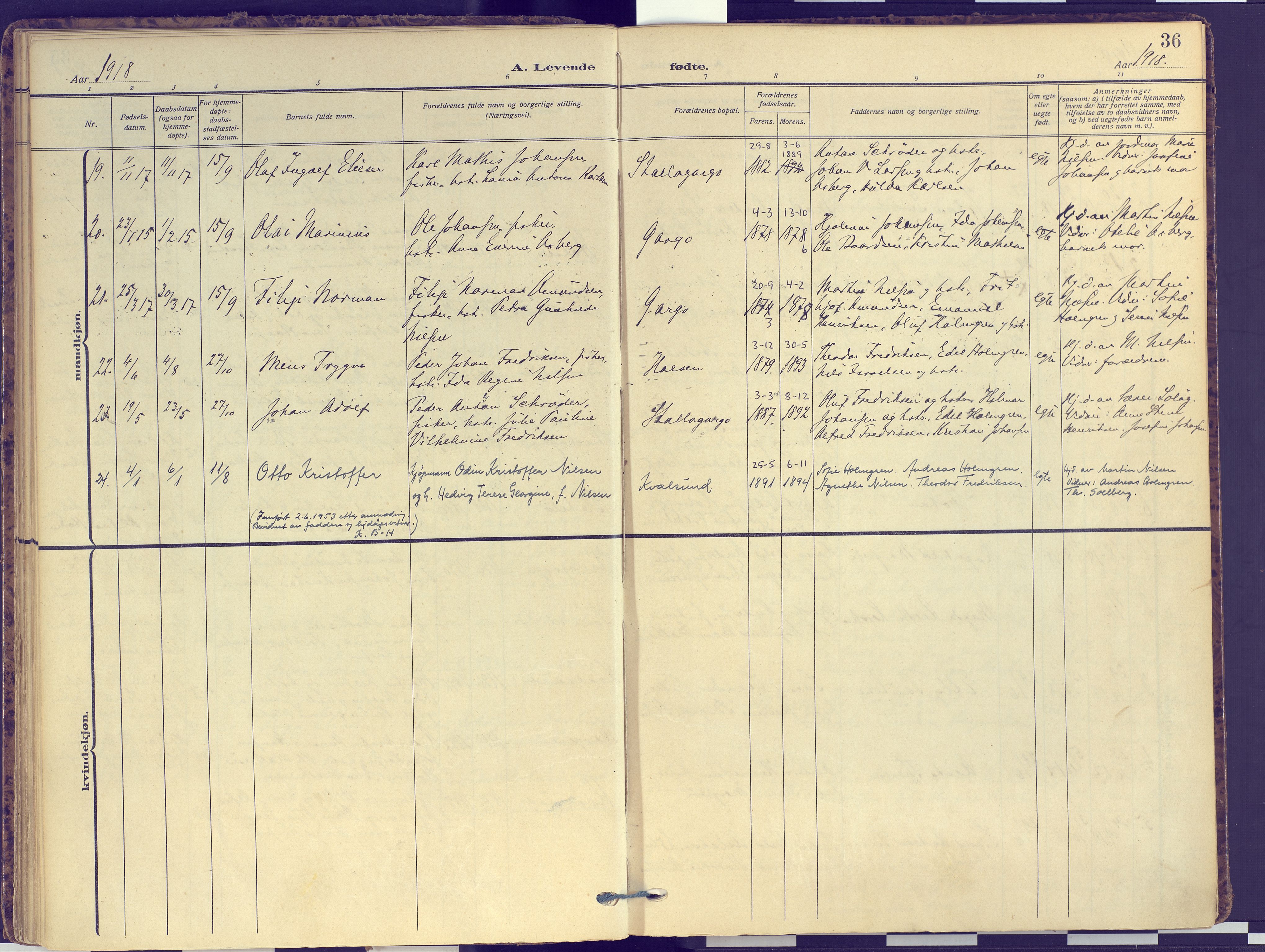 Hammerfest sokneprestkontor, SATØ/S-1347: Parish register (official) no. 16, 1908-1923, p. 36