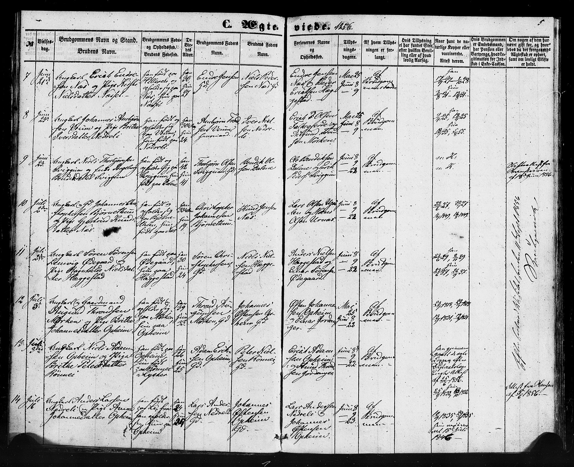 Hafslo sokneprestembete, AV/SAB-A-80301/H/Haa/Haaa/L0013: Parish register (official) no. A 13, 1854-1879, p. 5