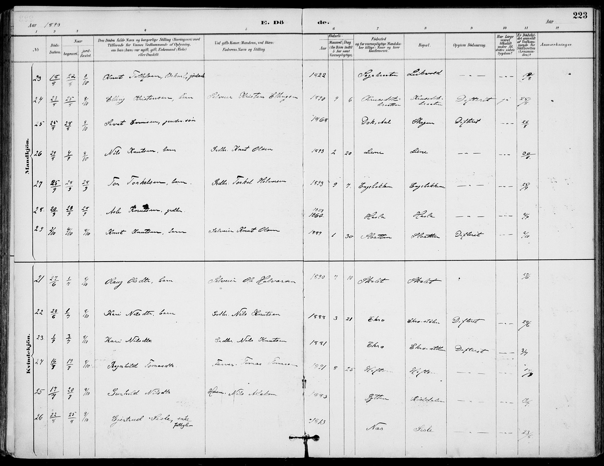 Gol kirkebøker, AV/SAKO-A-226/F/Fa/L0005: Parish register (official) no. I 5, 1887-1900, p. 223