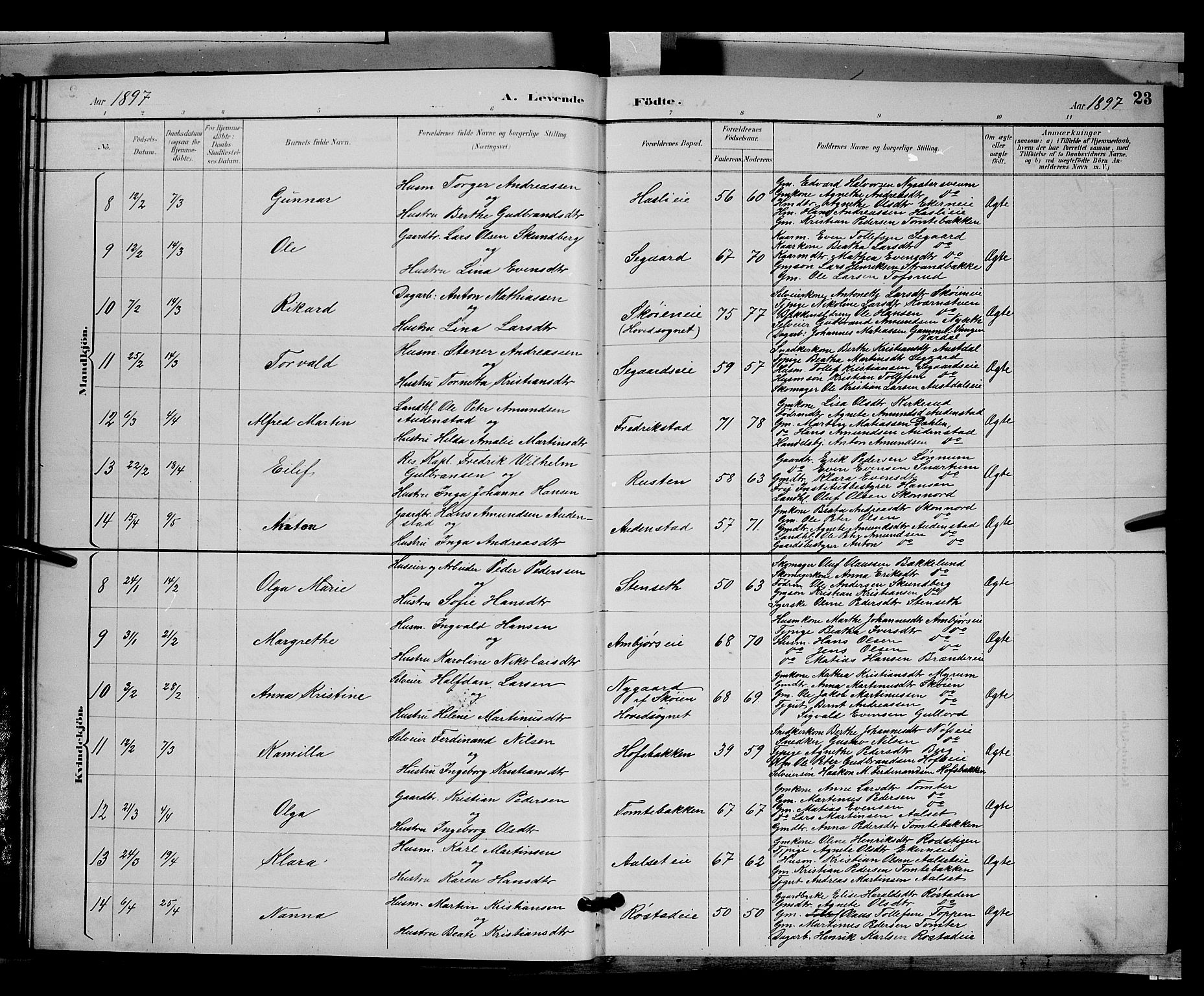 Biri prestekontor, SAH/PREST-096/H/Ha/Hab/L0003: Parish register (copy) no. 3, 1892-1905, p. 23