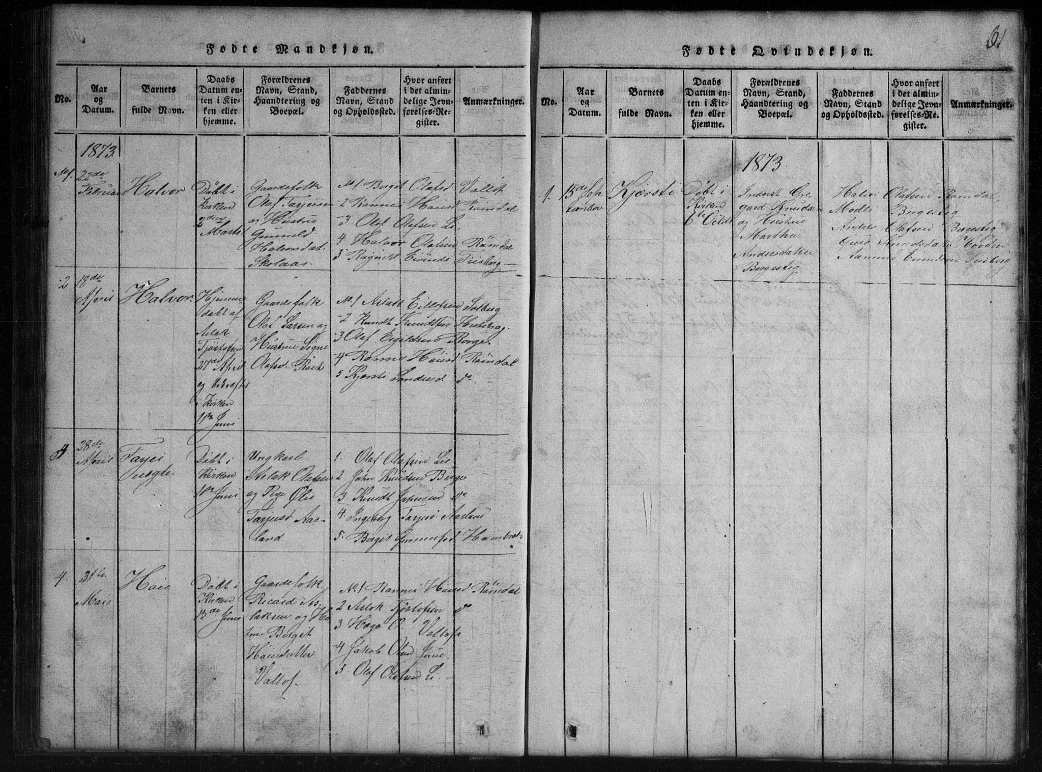 Rauland kirkebøker, AV/SAKO-A-292/G/Gb/L0001: Parish register (copy) no. II 1, 1815-1886, p. 61