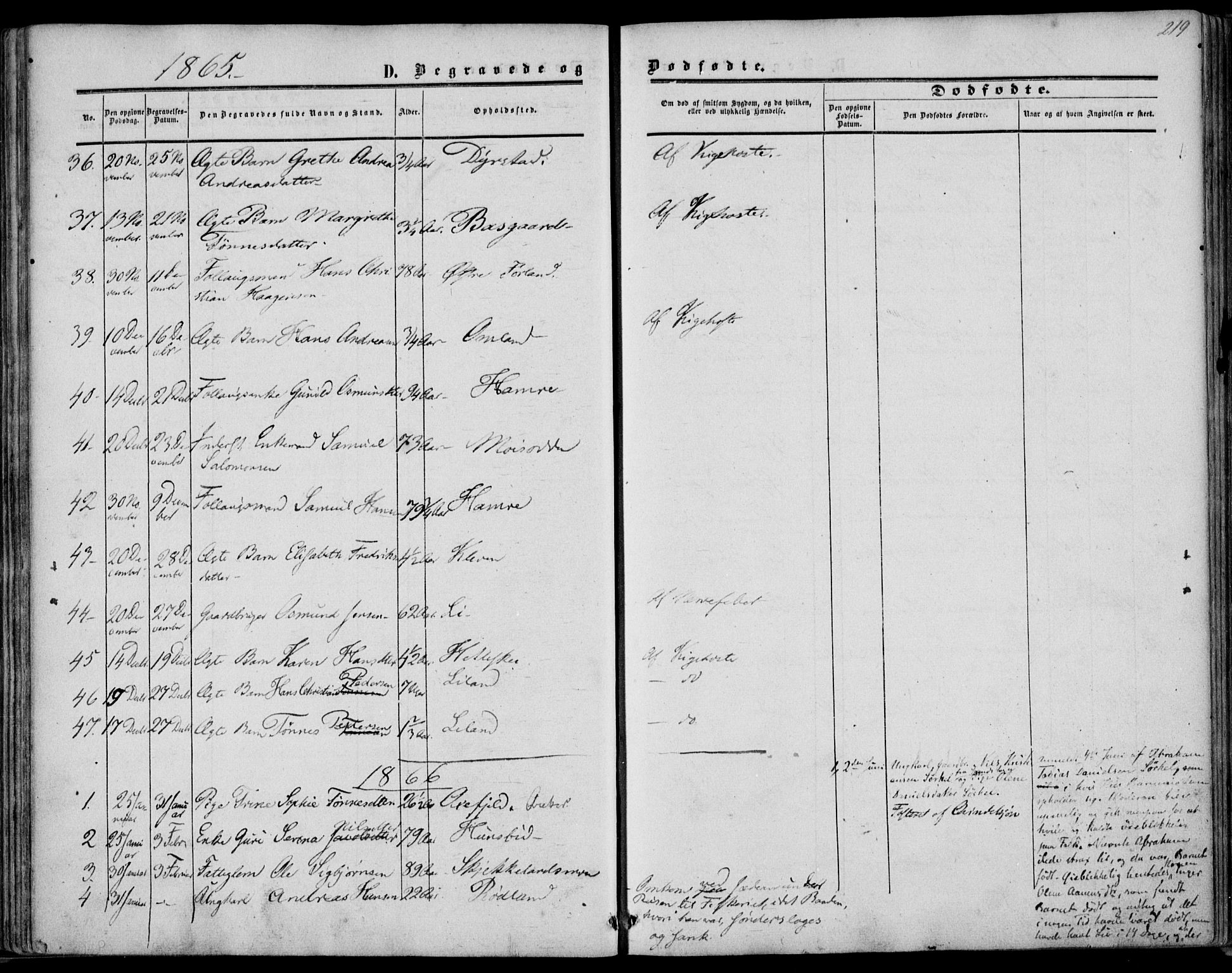 Kvinesdal sokneprestkontor, AV/SAK-1111-0026/F/Fa/Fab/L0006: Parish register (official) no. A 6, 1857-1869, p. 219