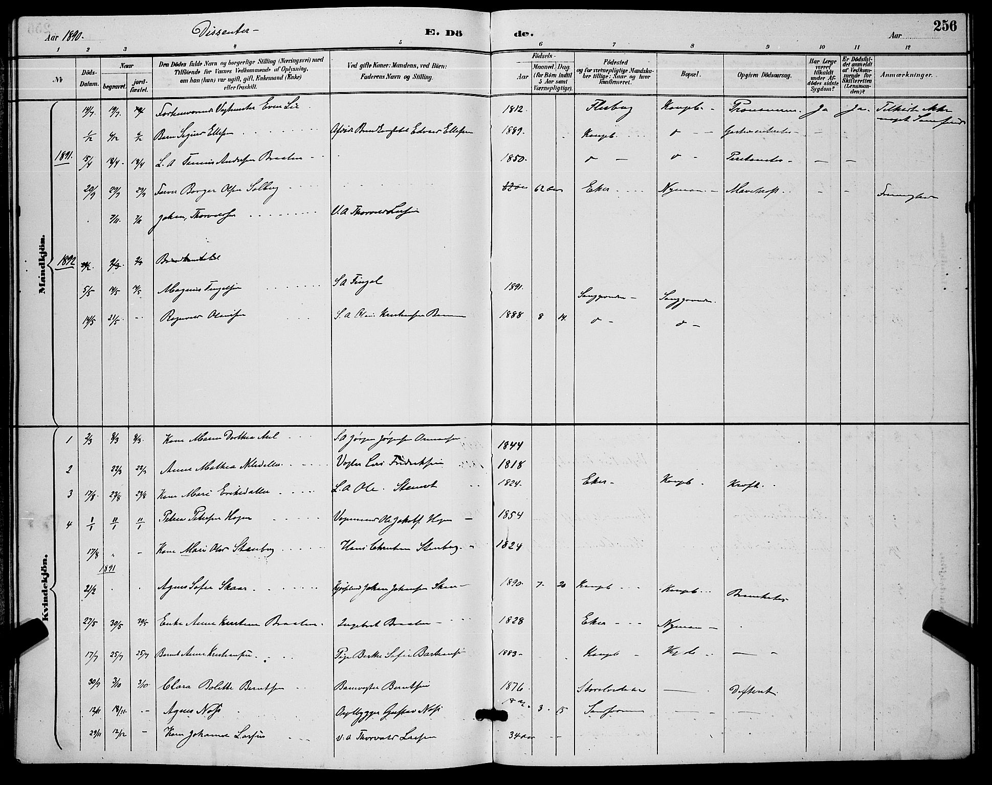 Kongsberg kirkebøker, SAKO/A-22/G/Ga/L0006: Parish register (copy) no. 6, 1890-1901, p. 256