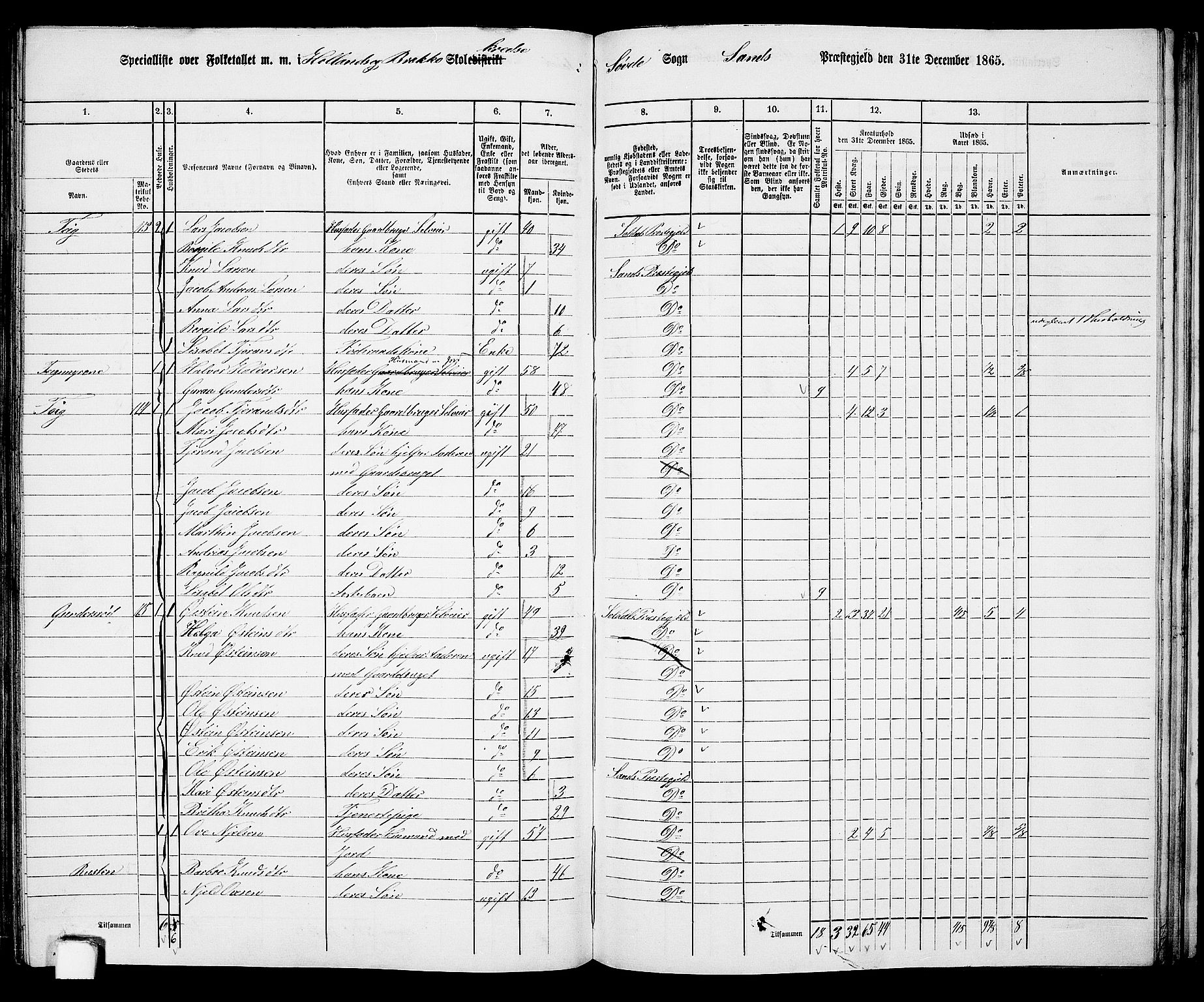 RA, 1865 census for Sand, 1865, p. 125