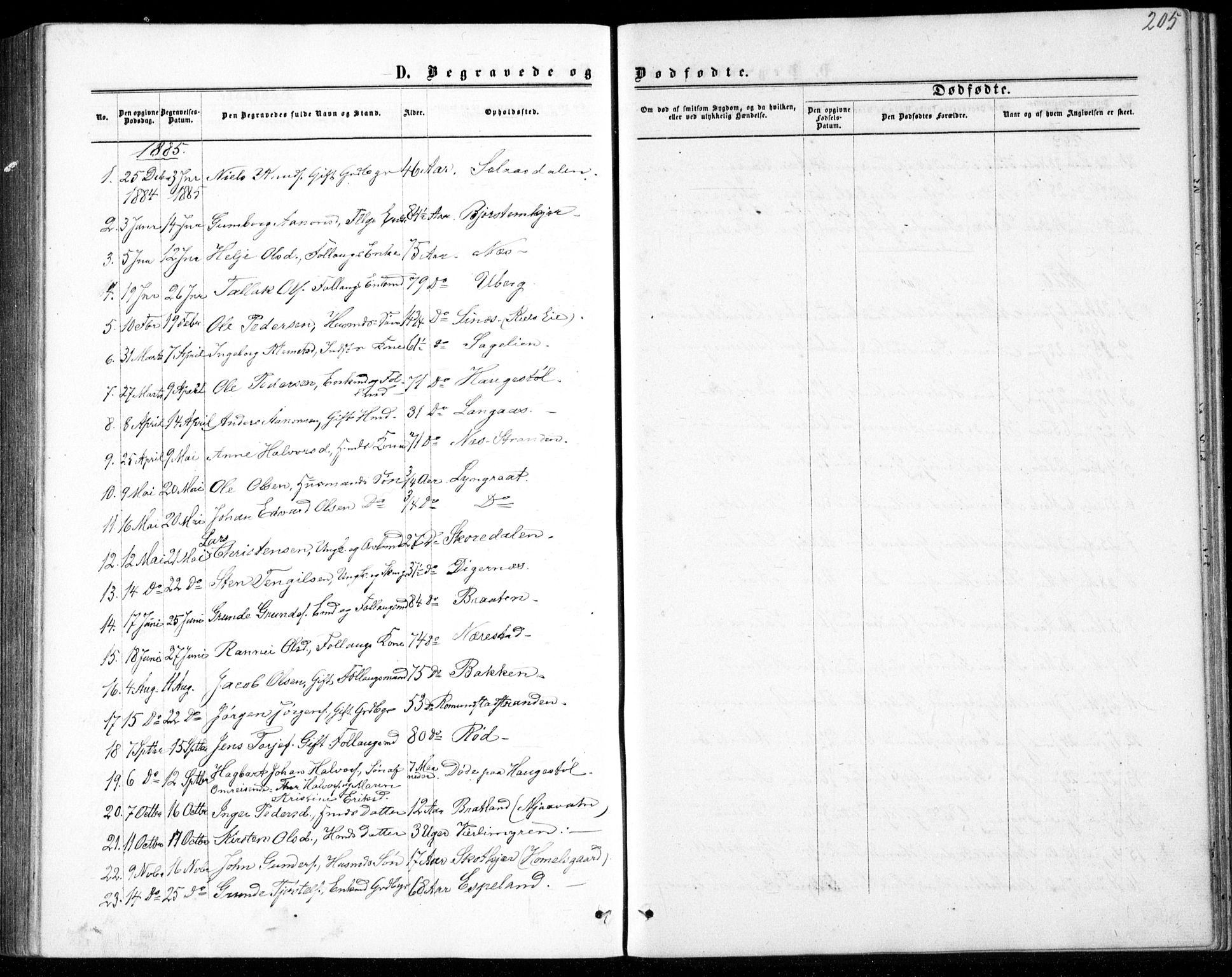 Gjerstad sokneprestkontor, AV/SAK-1111-0014/F/Fb/Fbb/L0003: Parish register (copy) no. B 3, 1862-1889, p. 205