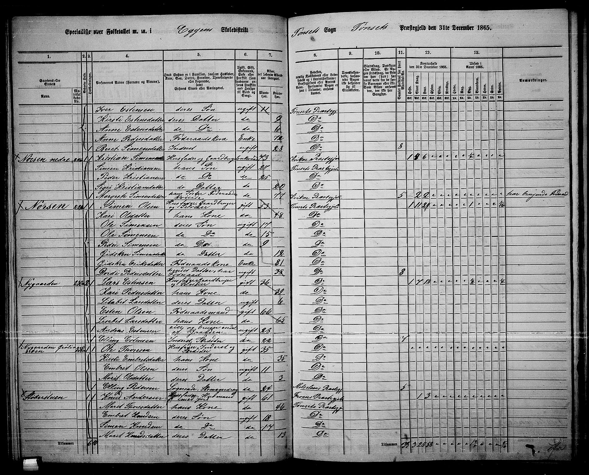 RA, 1865 census for Tynset, 1865, p. 96