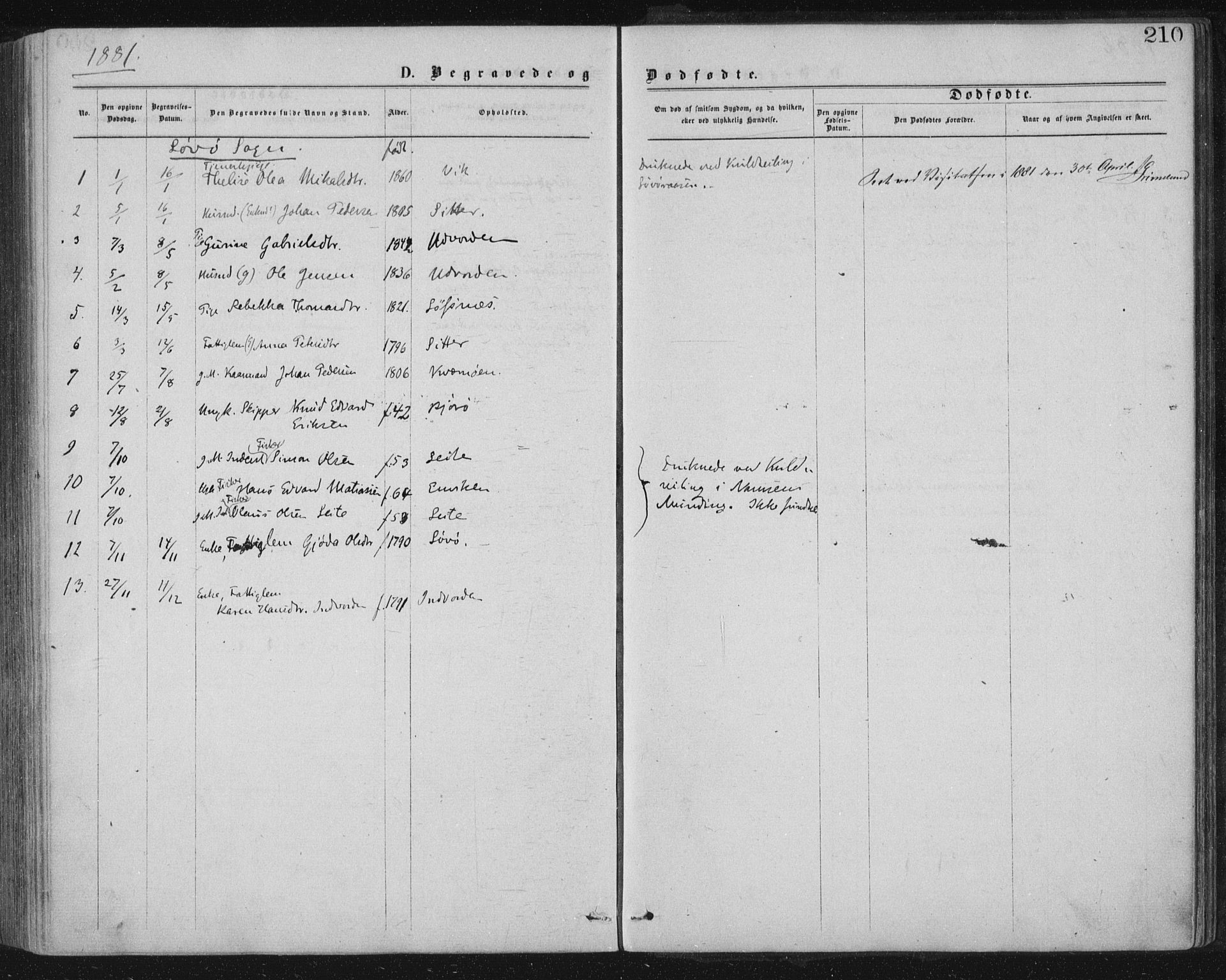 Ministerialprotokoller, klokkerbøker og fødselsregistre - Nord-Trøndelag, SAT/A-1458/771/L0596: Parish register (official) no. 771A03, 1870-1884, p. 210