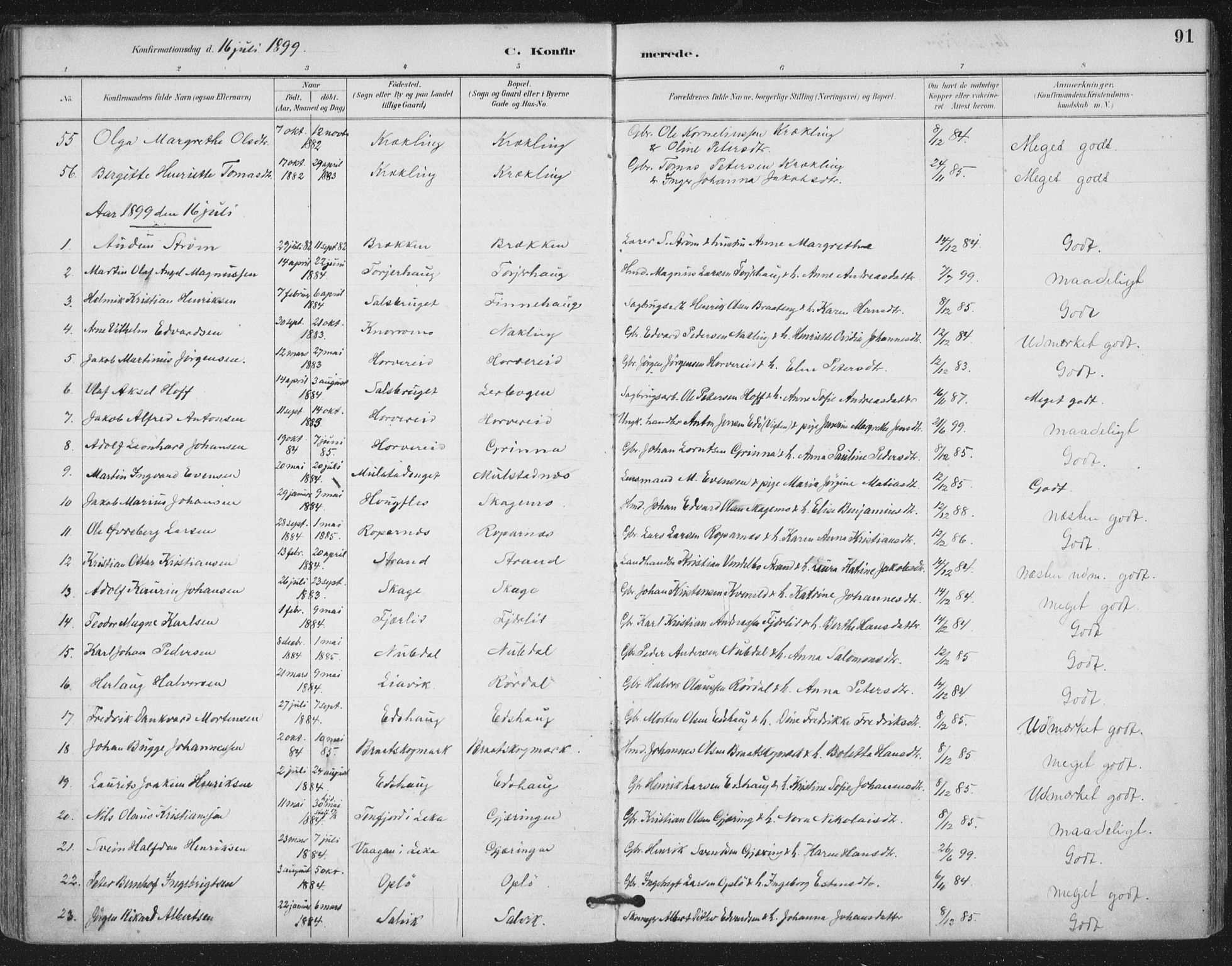 Ministerialprotokoller, klokkerbøker og fødselsregistre - Nord-Trøndelag, SAT/A-1458/780/L0644: Parish register (official) no. 780A08, 1886-1903, p. 91