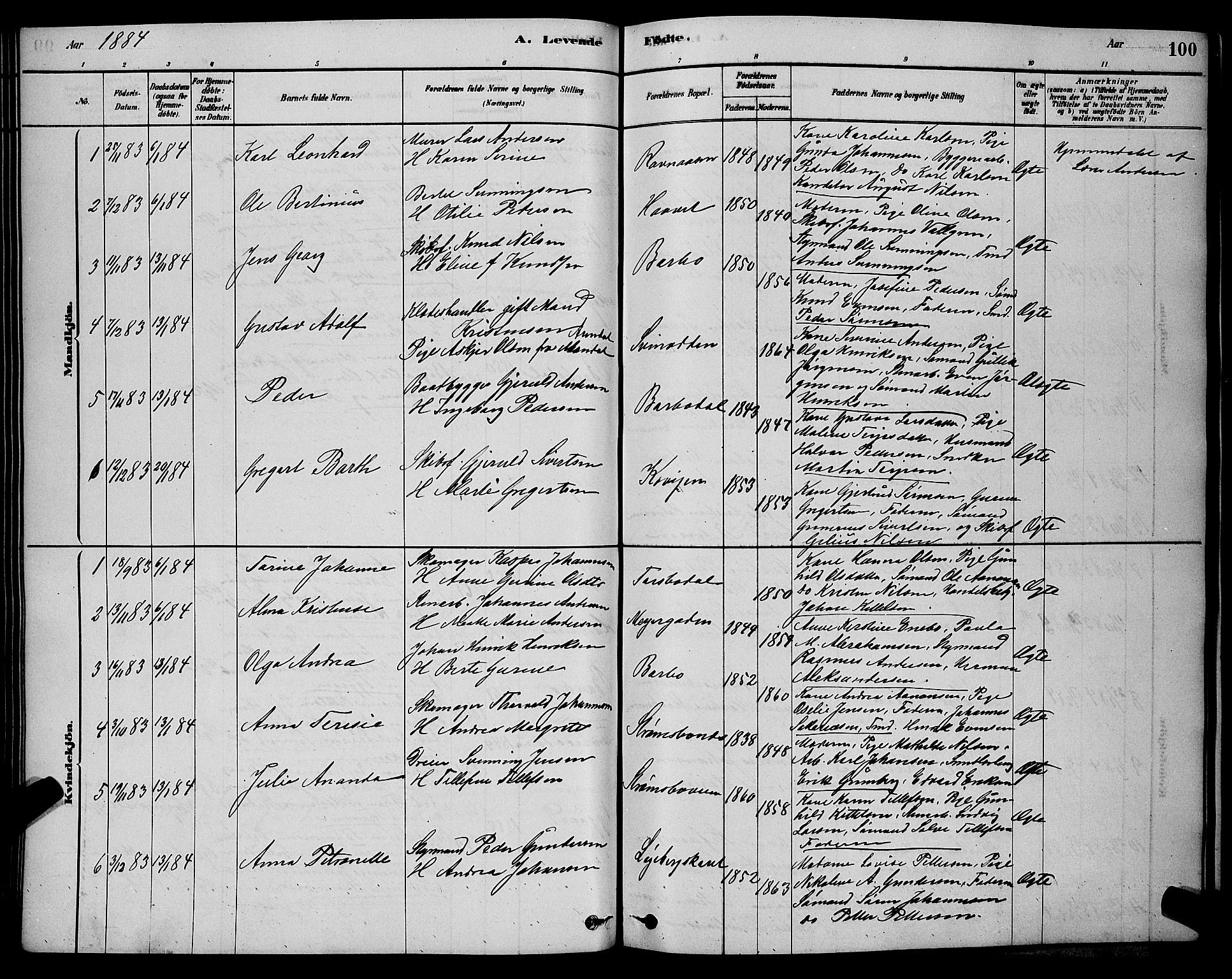 Barbu sokneprestkontor, AV/SAK-1111-0003/F/Fb/L0001: Parish register (copy) no. B 1, 1878-1890, p. 100