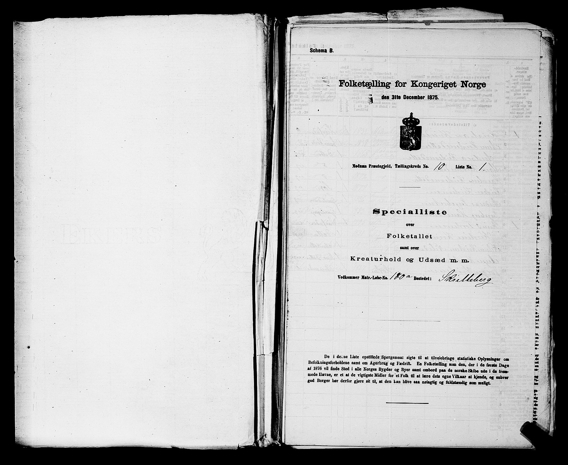 SAKO, 1875 census for 0623P Modum, 1875, p. 1149