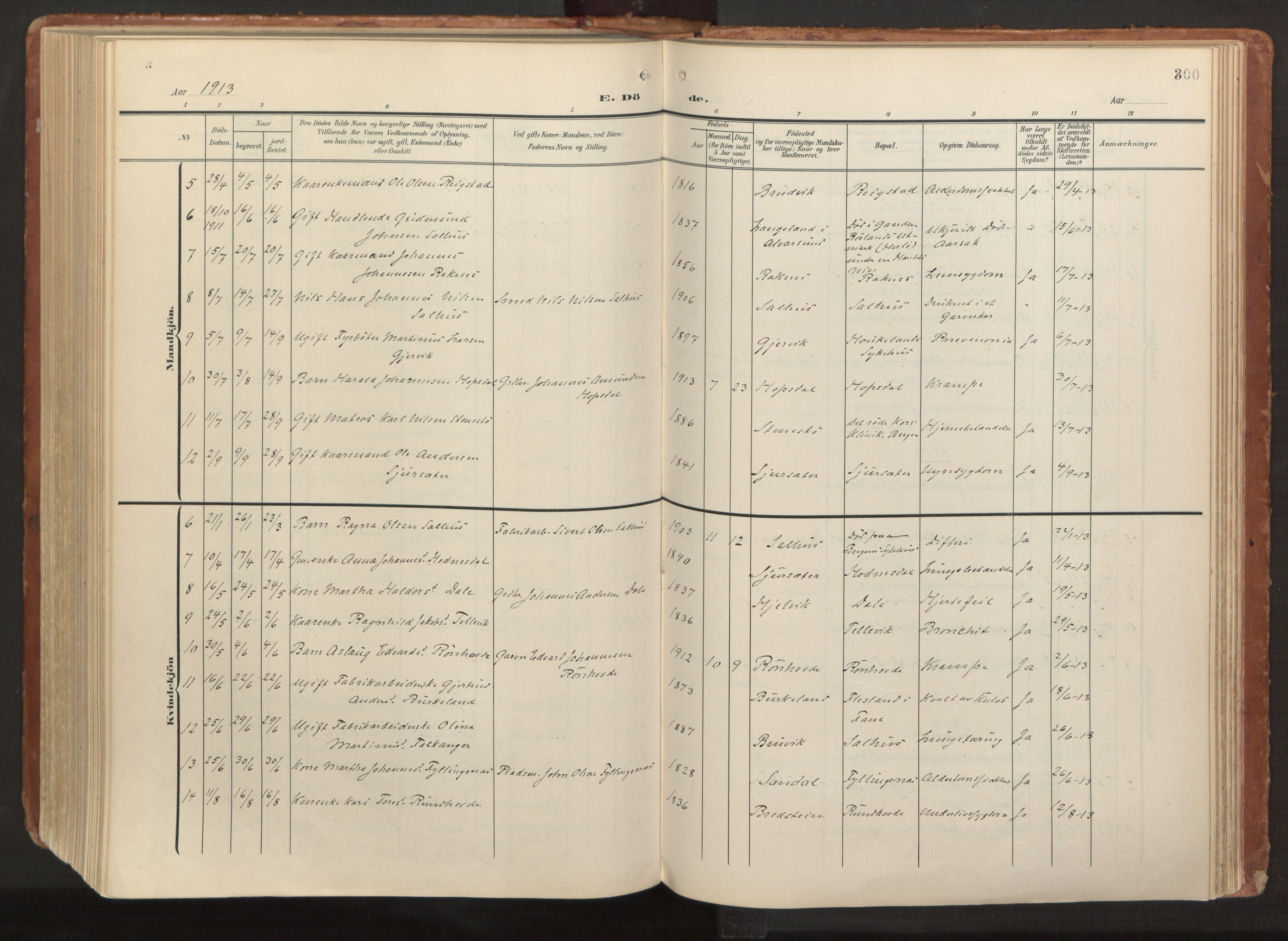 Hamre sokneprestembete, AV/SAB-A-75501/H/Ha/Haa/Haab/L0002: Parish register (official) no. B 2, 1905-1924, p. 300