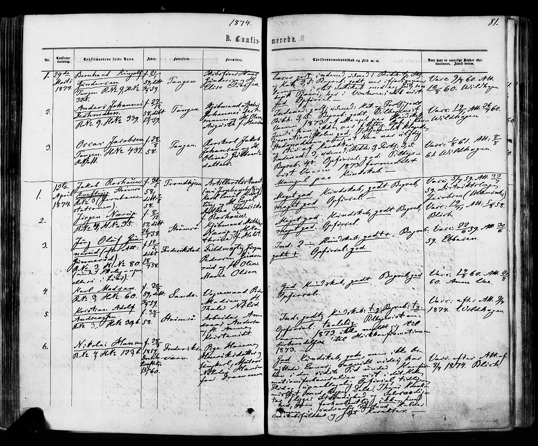 Strømsø kirkebøker, SAKO/A-246/F/Fa/L0018: Parish register (official) no. I 18, 1865-1878, p. 81