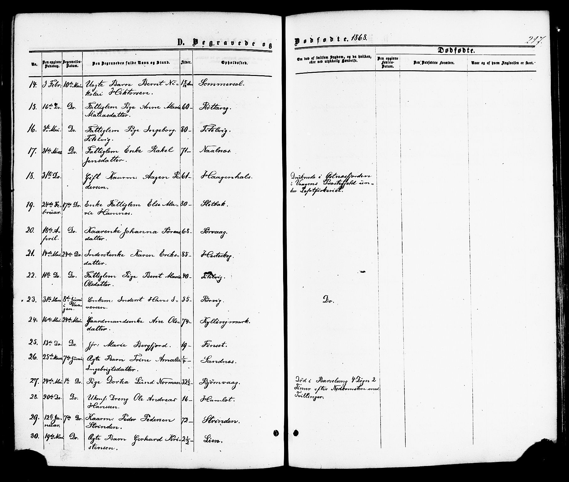Ministerialprotokoller, klokkerbøker og fødselsregistre - Nordland, SAT/A-1459/859/L0845: Parish register (official) no. 859A05, 1863-1877, p. 217